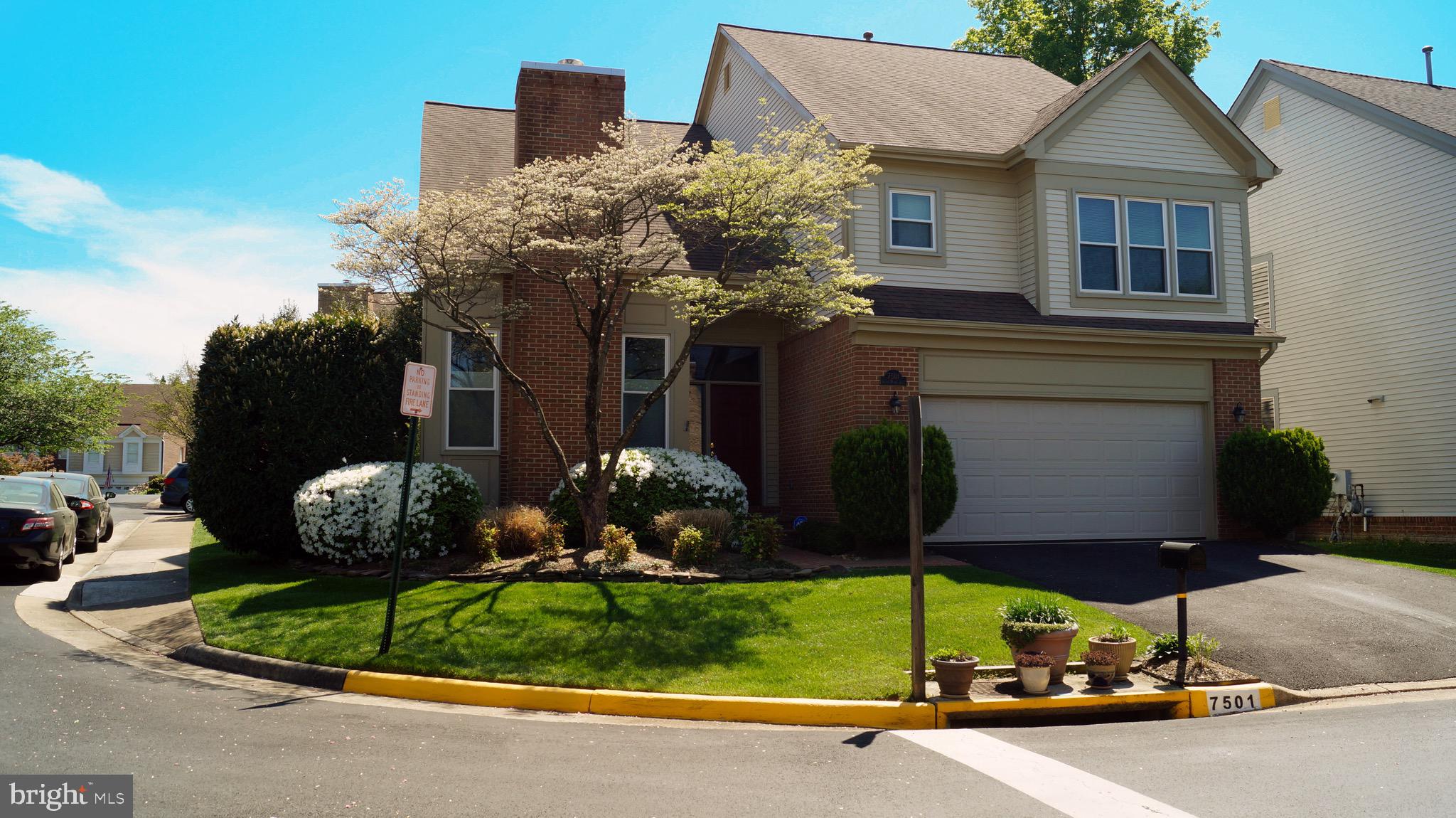 7501 SILVER MAPLE