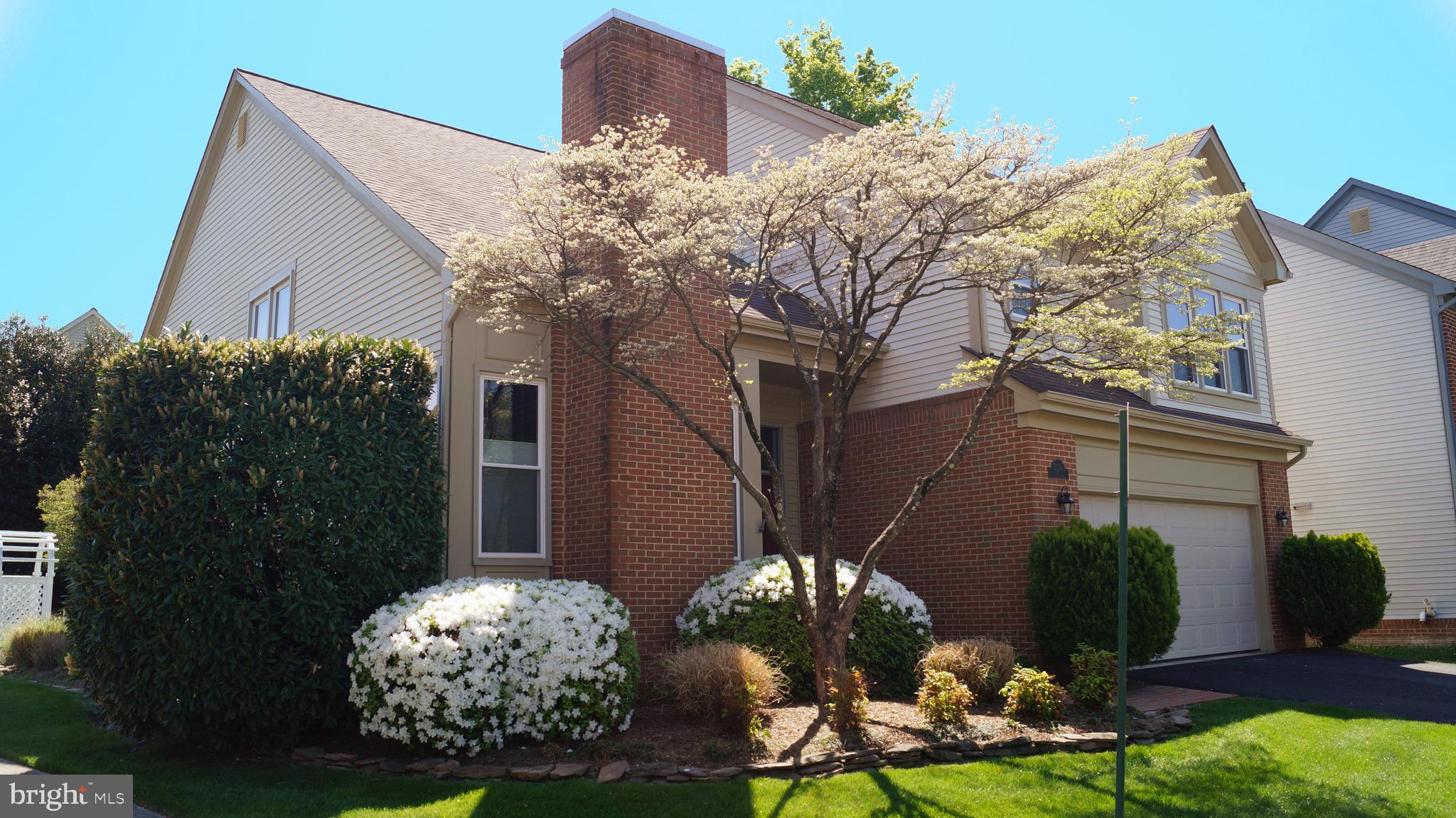 7501 SILVER MAPLE