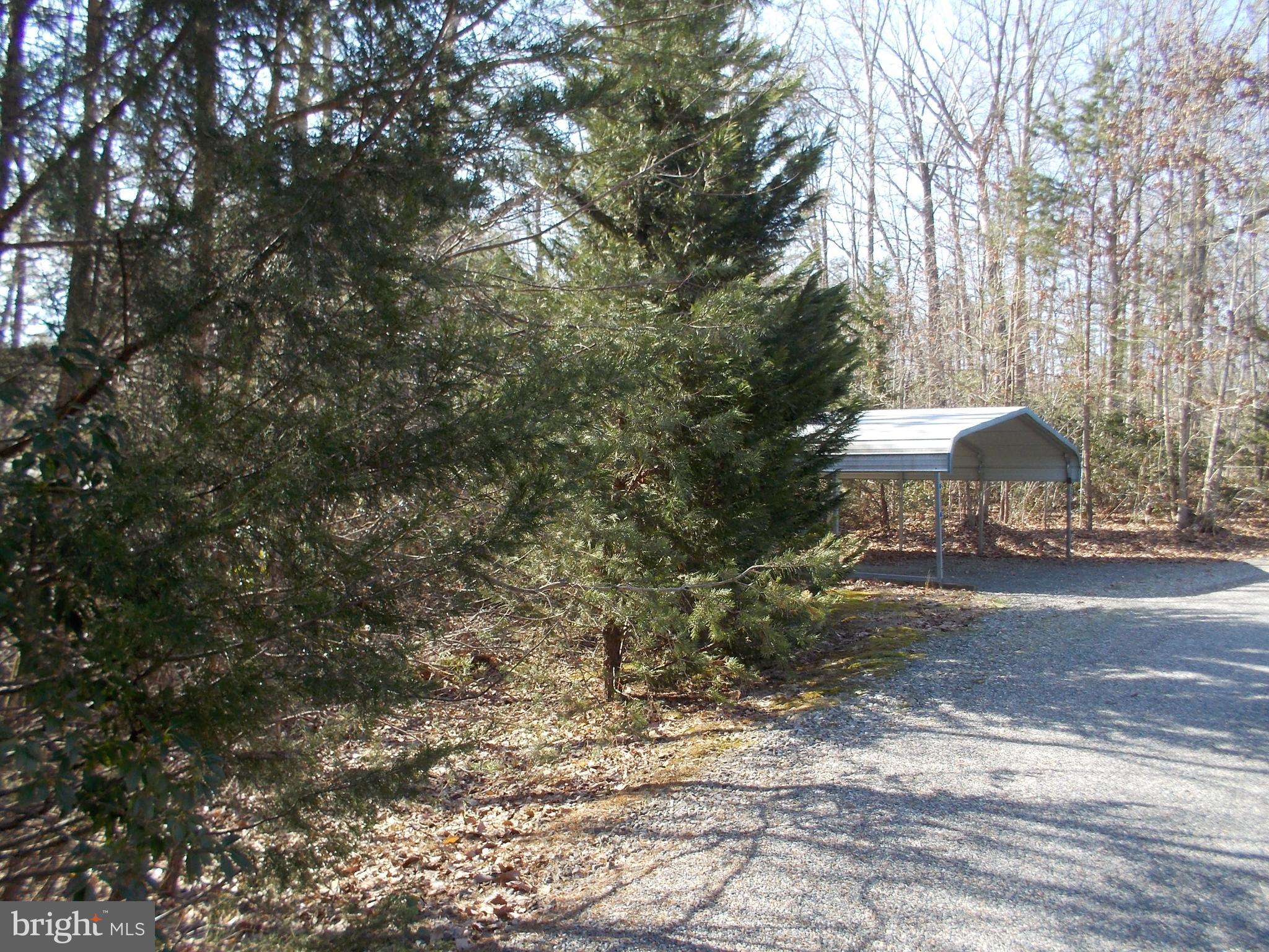 TALL PINES - Residential