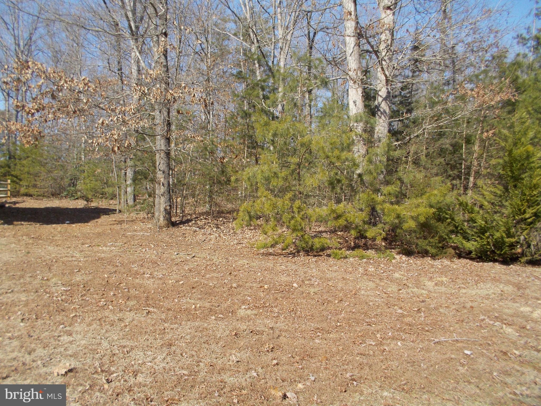 TALL PINES - Residential