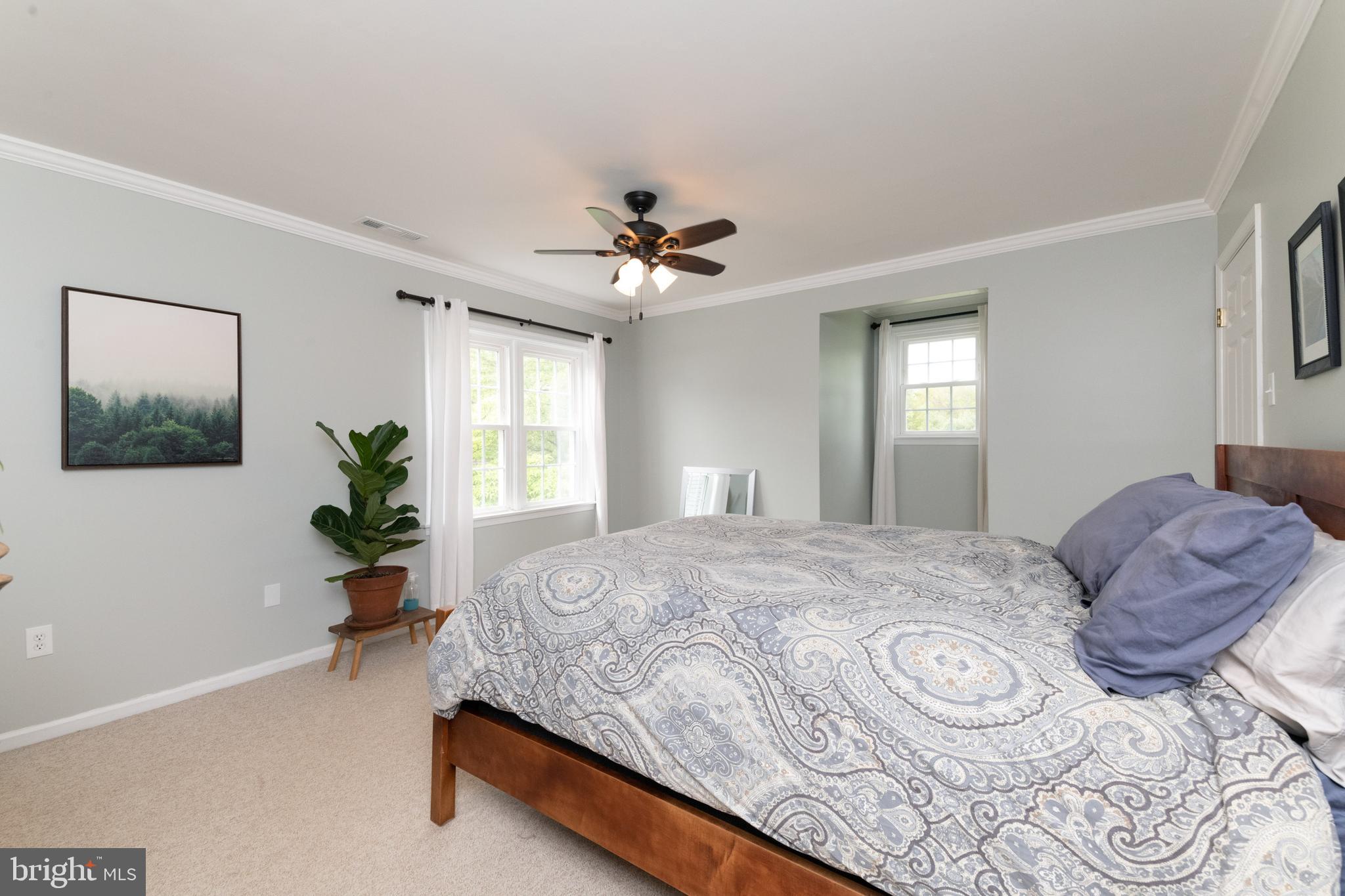 MEADOW STREAM - Residential