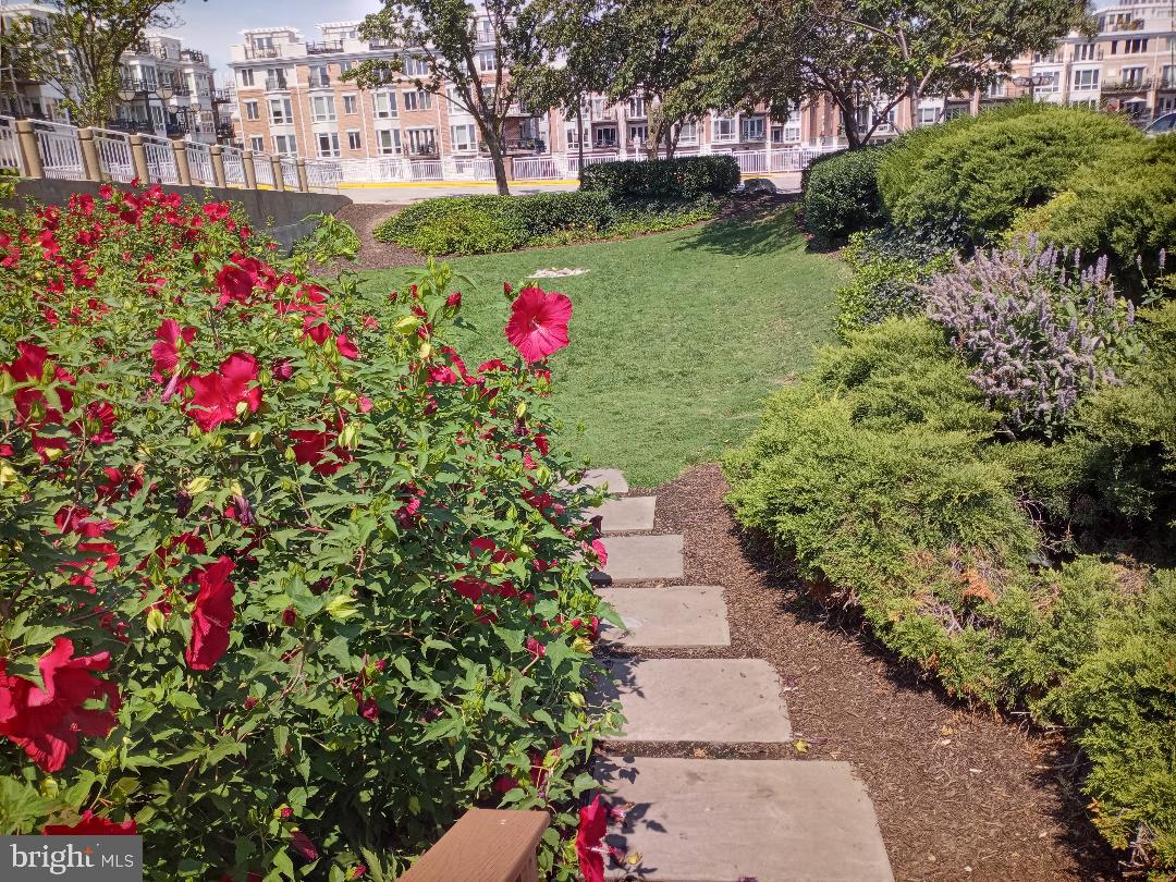 PIERSIDE AT HARBORVIEW - Residential