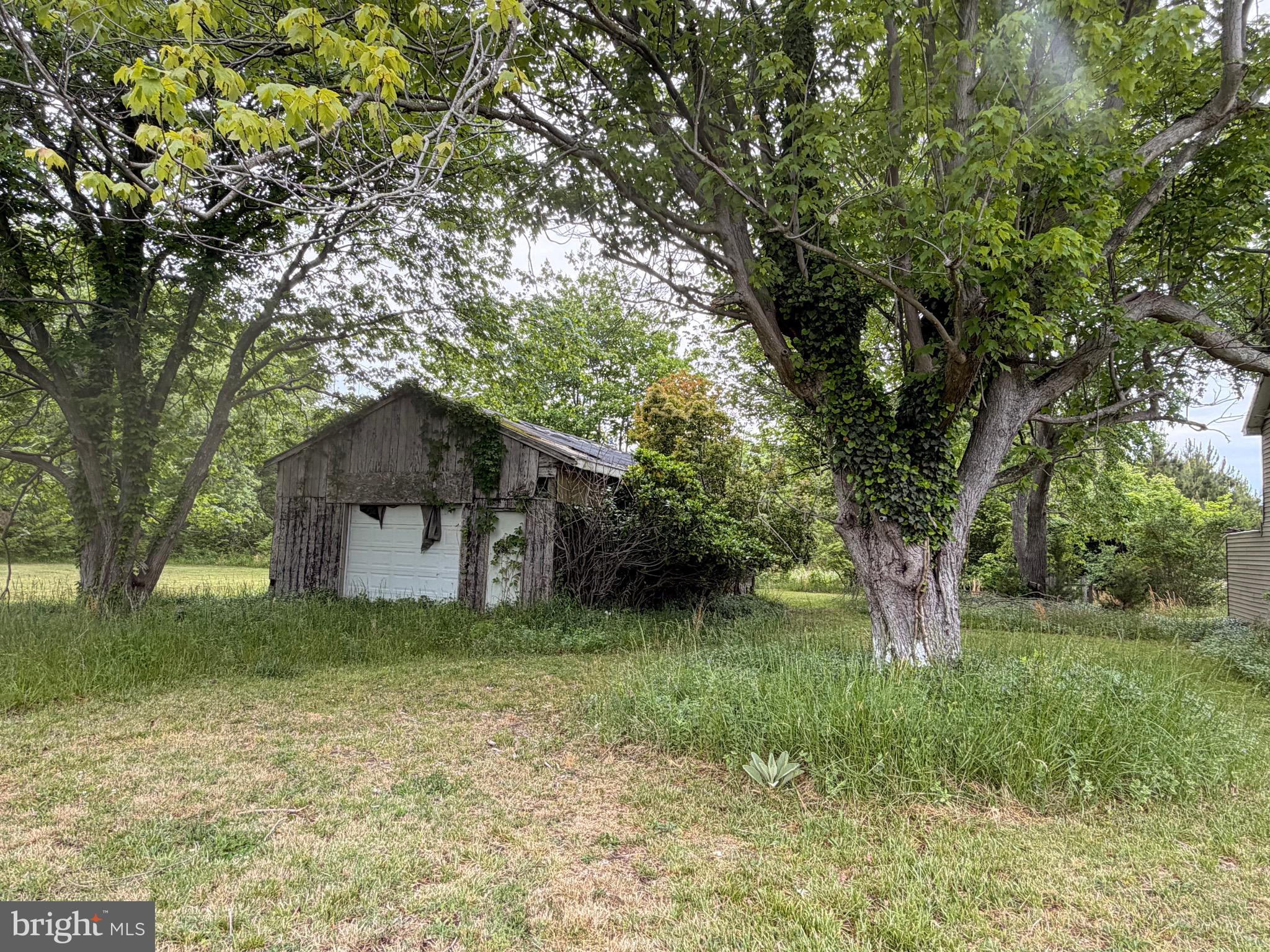 23686 EARL WEBSTER ROAD