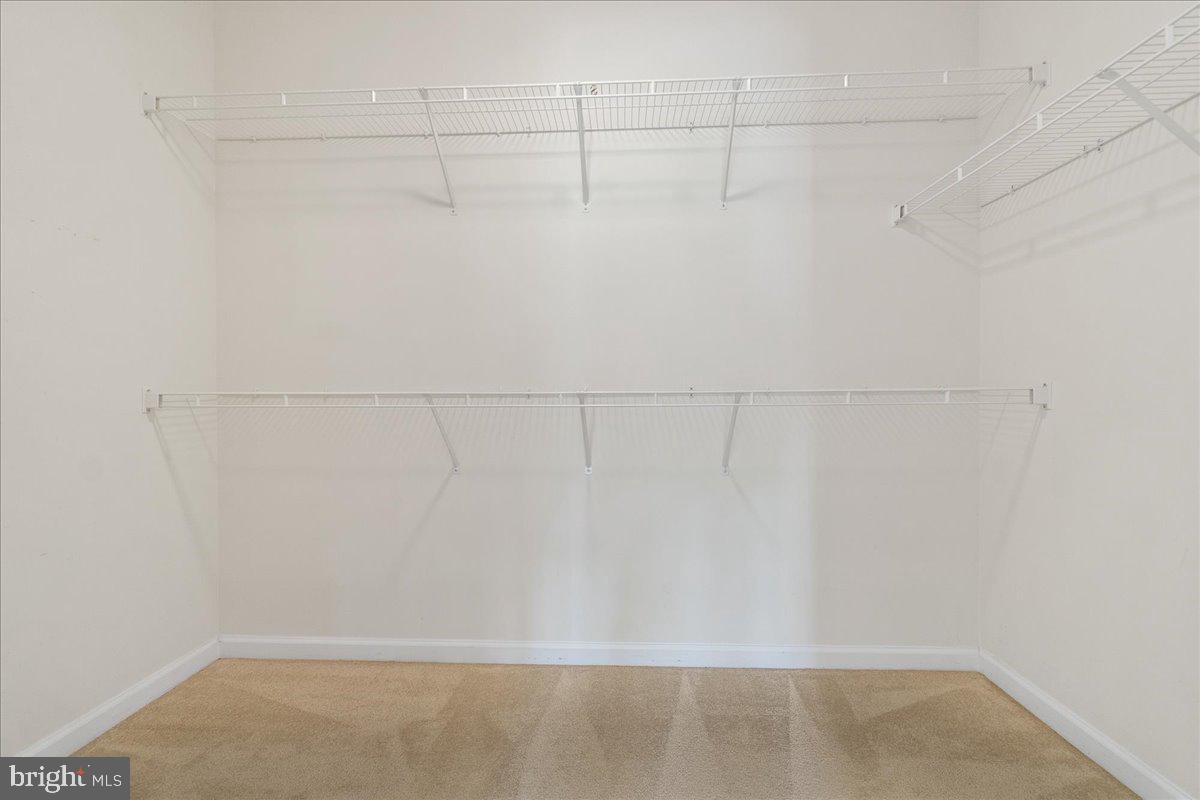 CARROLL VISTA - Residential