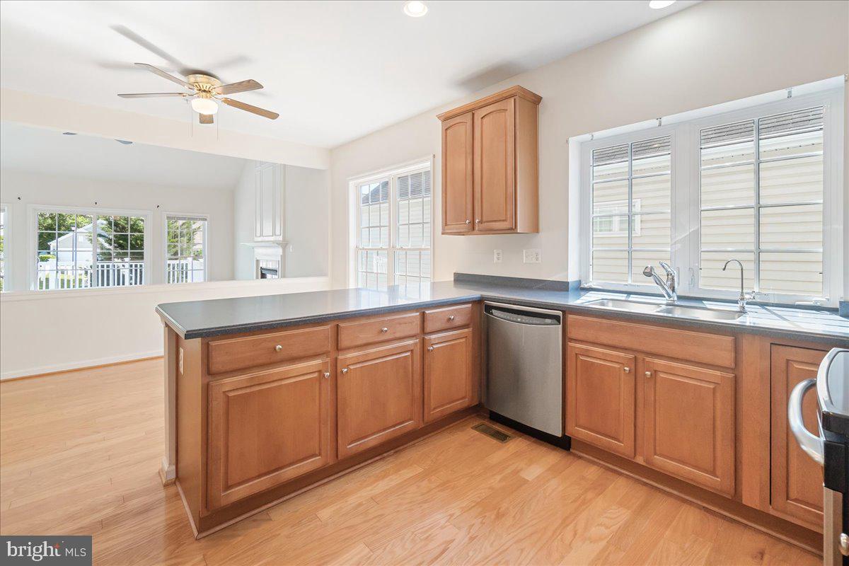 CARROLL VISTA - Residential