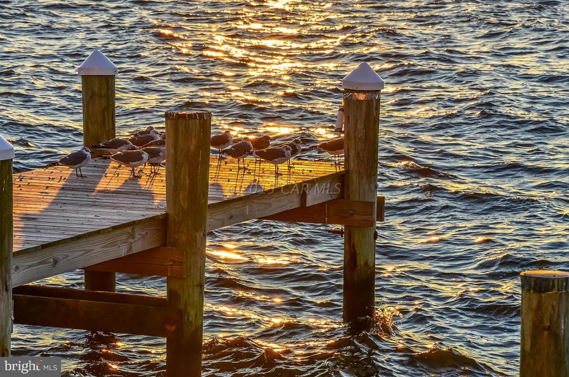 HERON HARBOUR - Residential