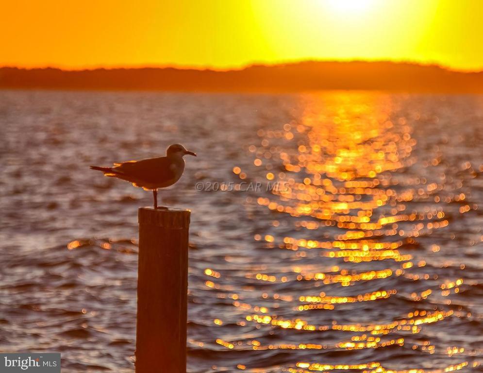 HERON HARBOUR - Residential