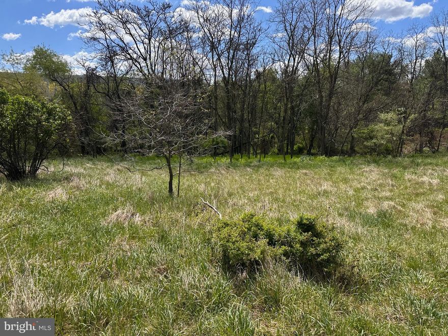 Very nice buildable lot, 22.52 Ac, no restrictions found. Paved roads to the property. Nicely wooded in the back and partially cleared up front.