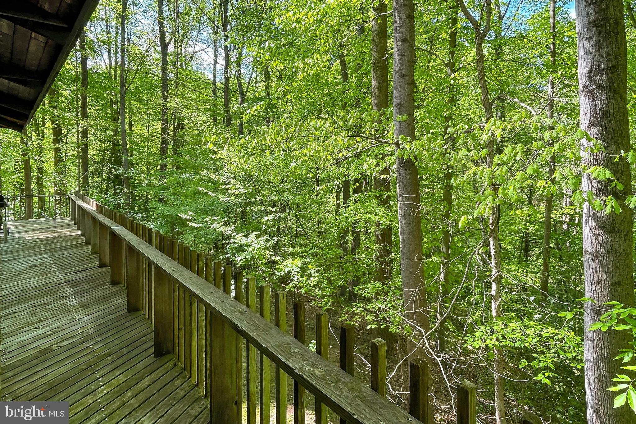 PROSPECT HILL - Residential