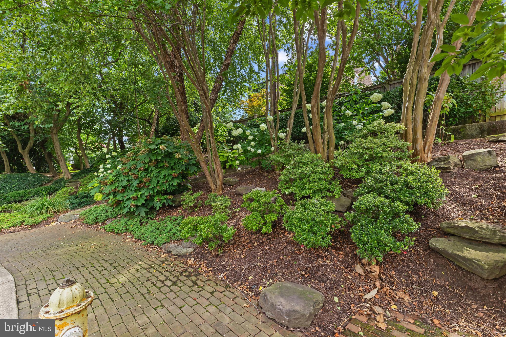 OLD TOWN ALEXANDRIA - Residential