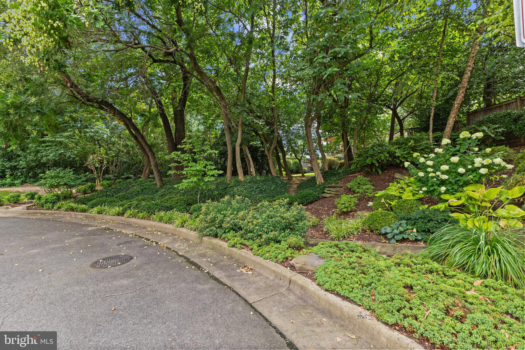 OLD TOWN ALEXANDRIA - Residential