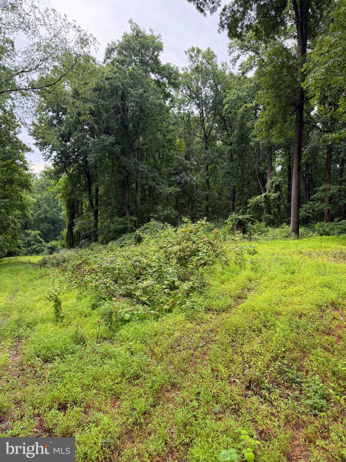 5 & 9 OAK RIDGE TRAIL