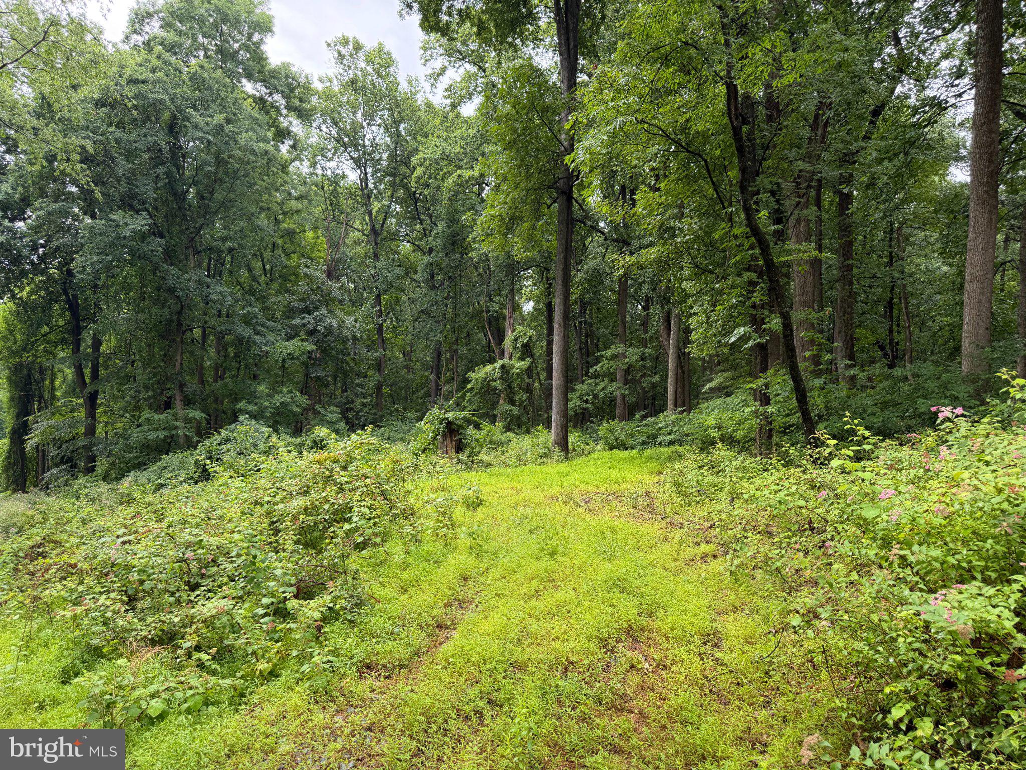 5 & 9 OAK RIDGE TRAIL
