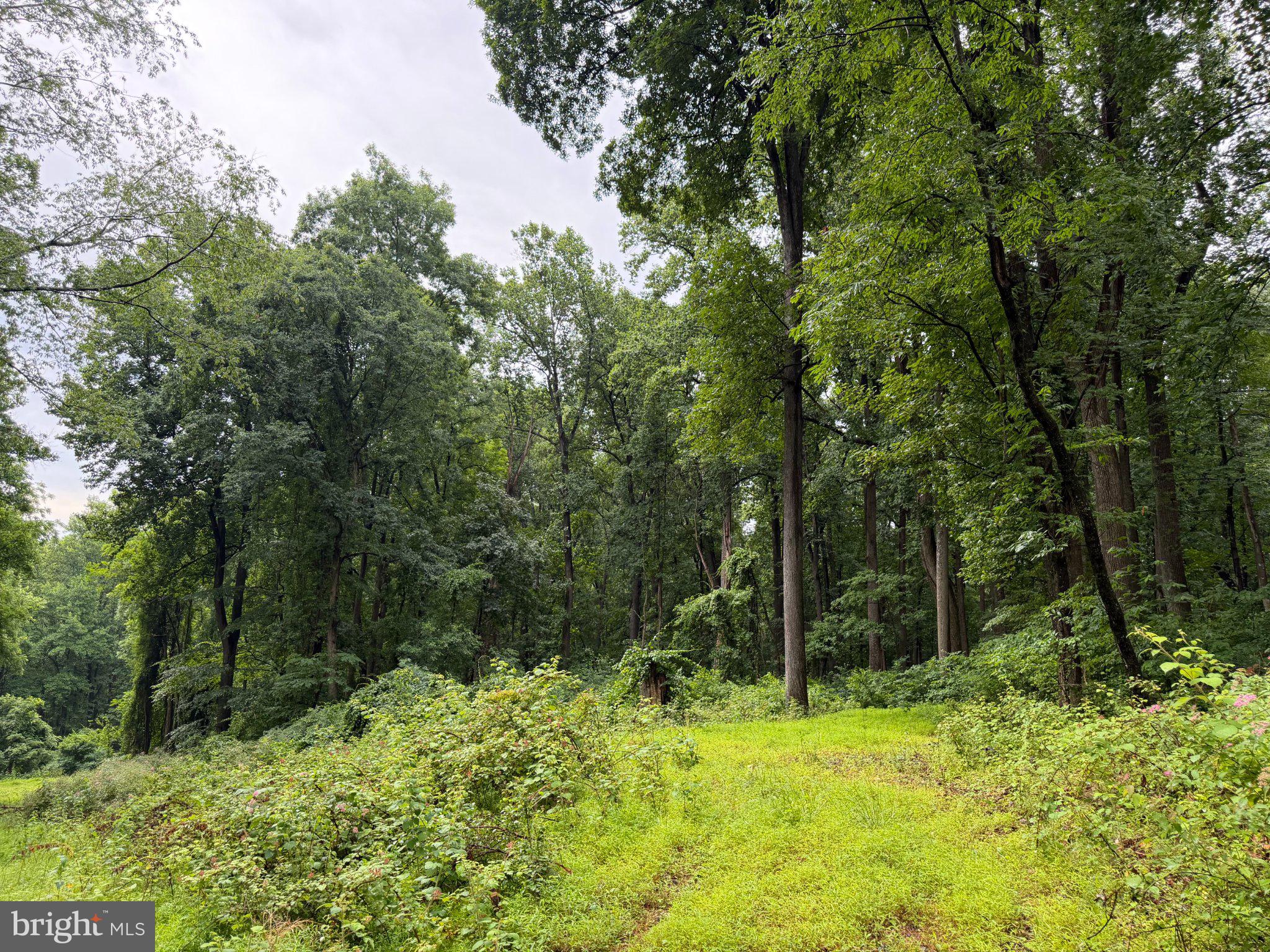 5 & 9 OAK RIDGE TRAIL