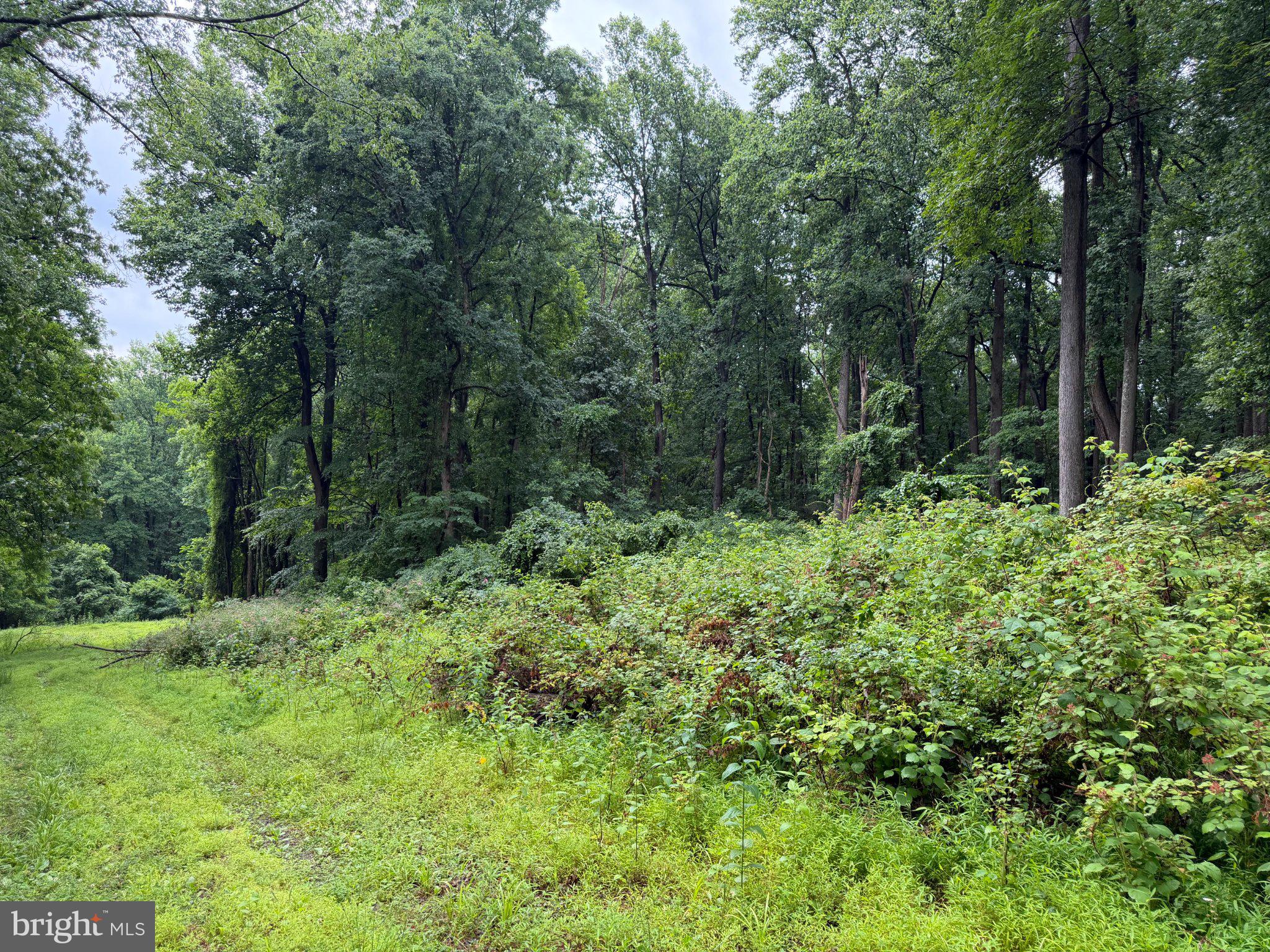 5 & 9 OAK RIDGE TRAIL