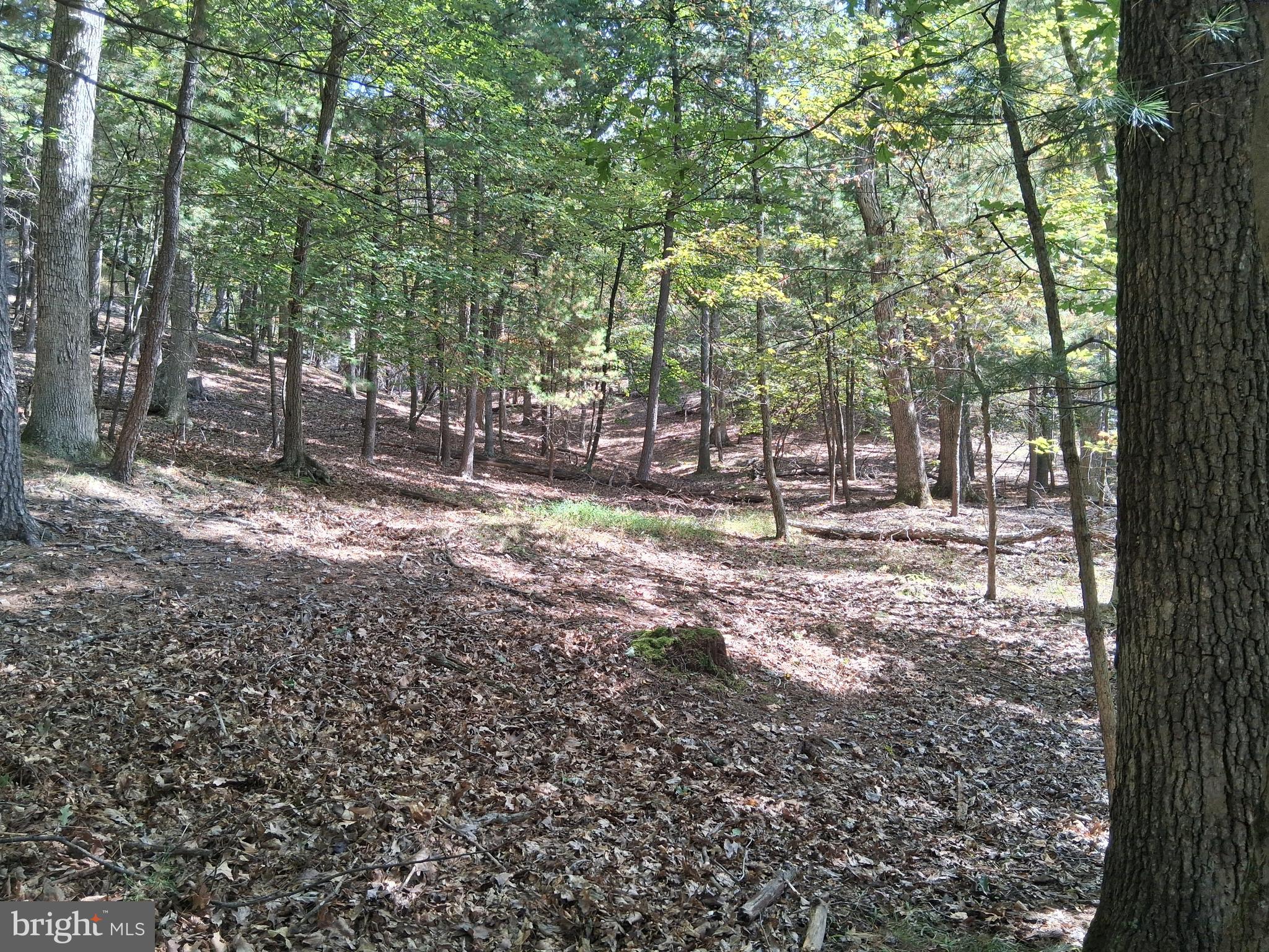 CACAPON SOUTH - Residential