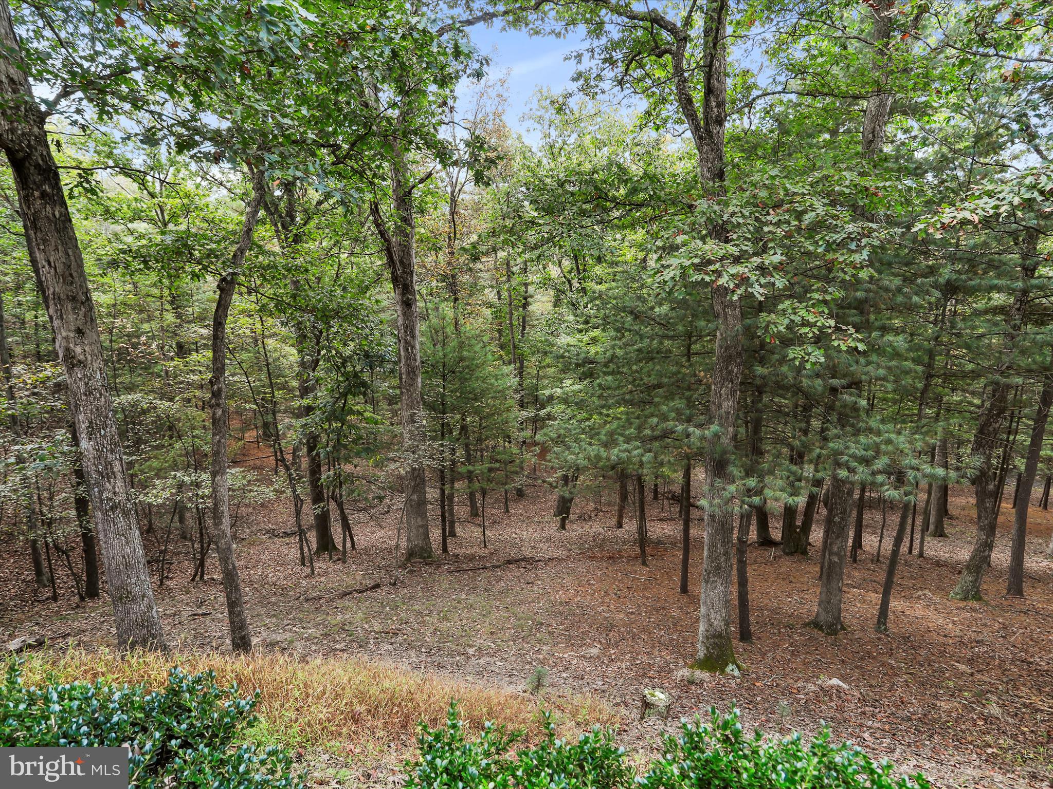 CACAPON SOUTH - Residential