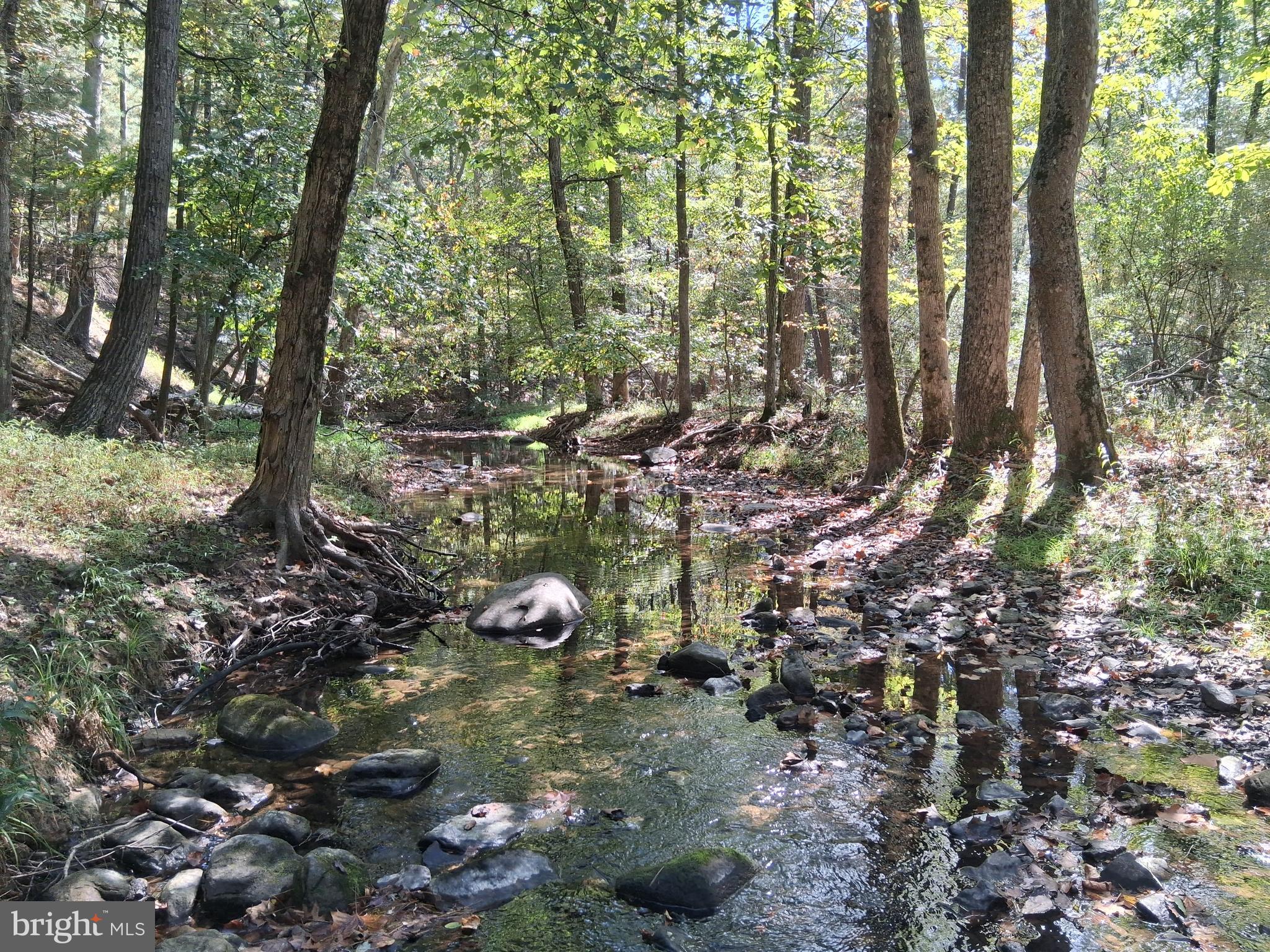 CACAPON SOUTH - Residential