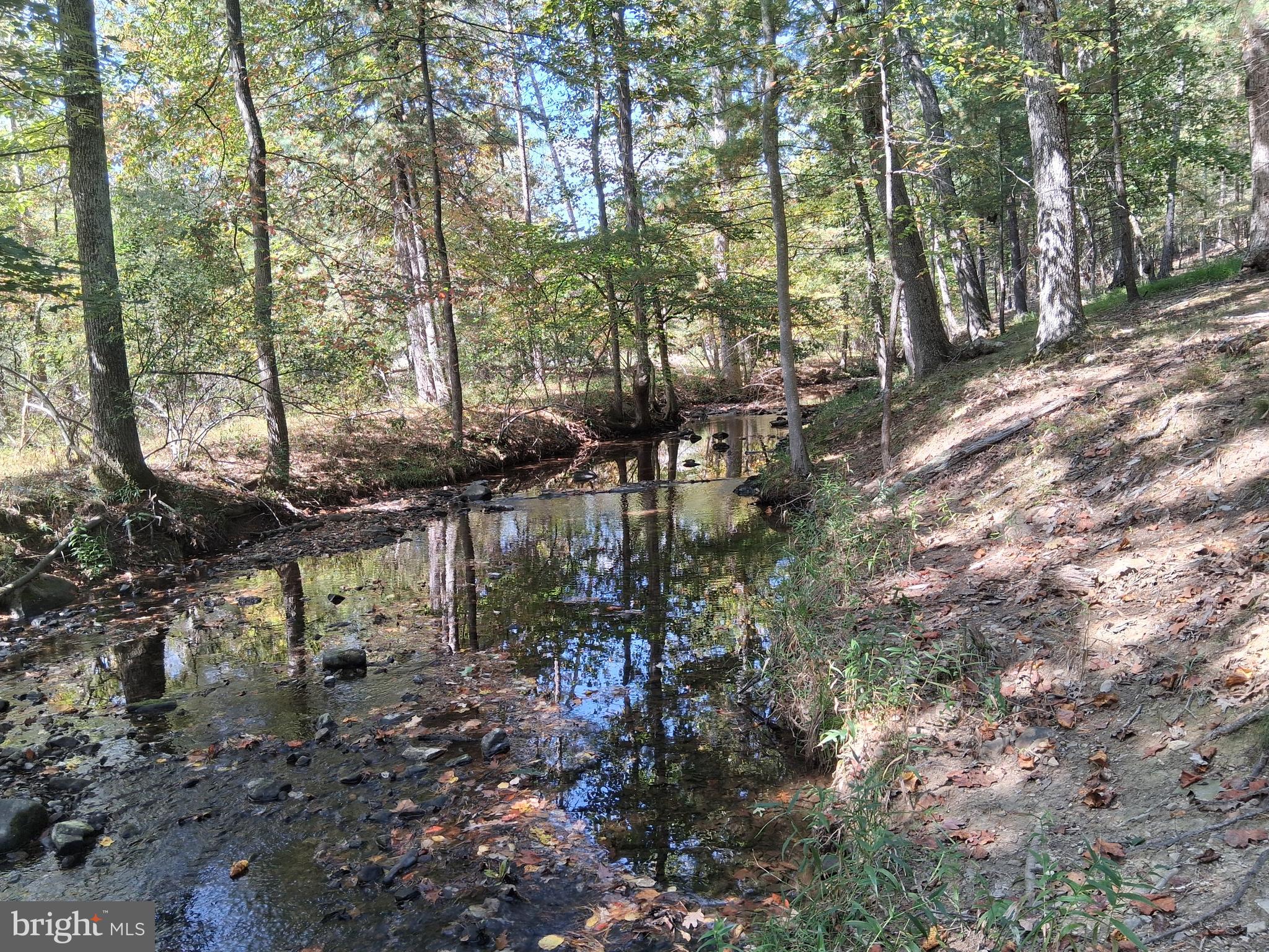 CACAPON SOUTH - Residential