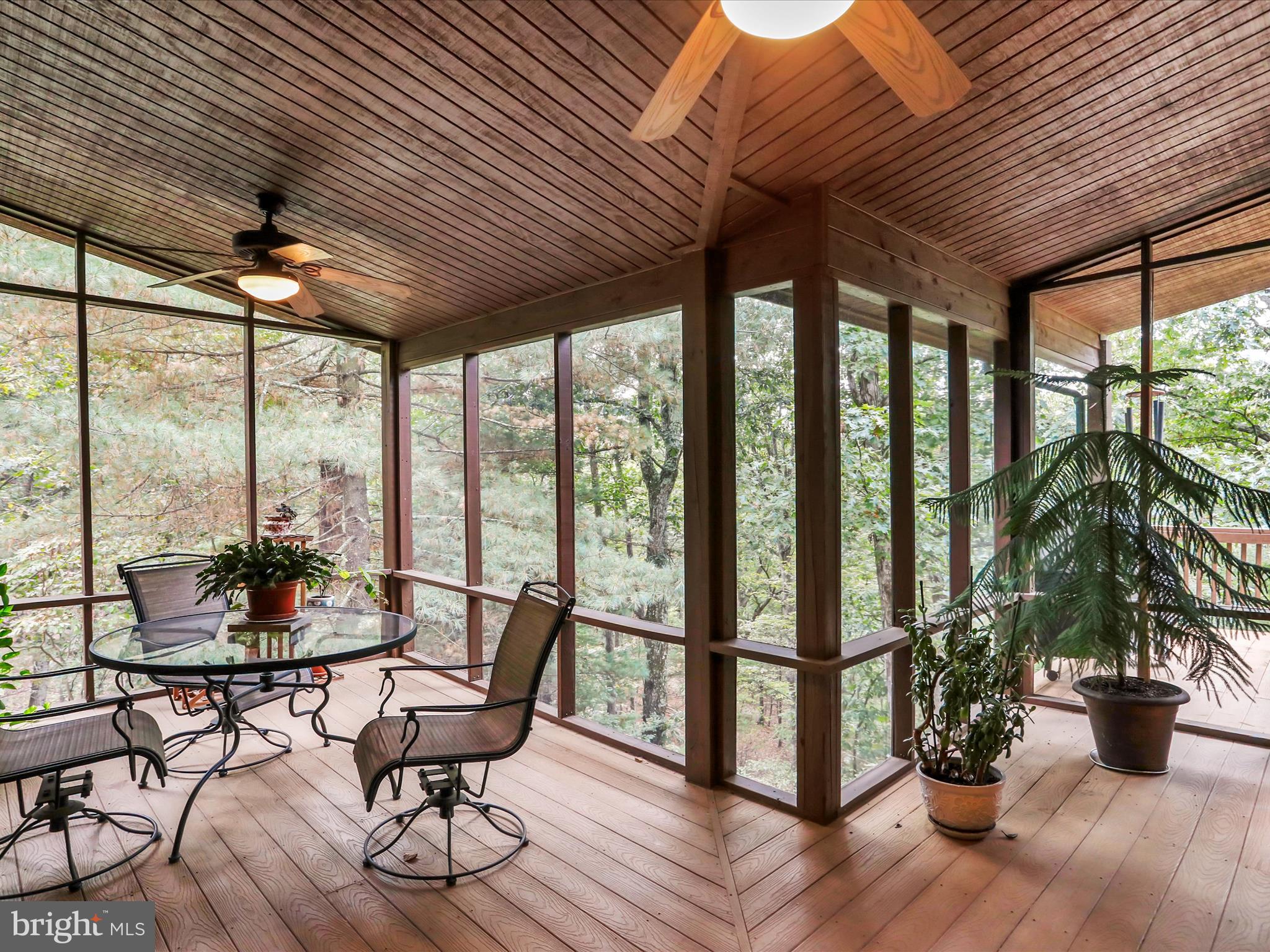 CACAPON SOUTH - Residential