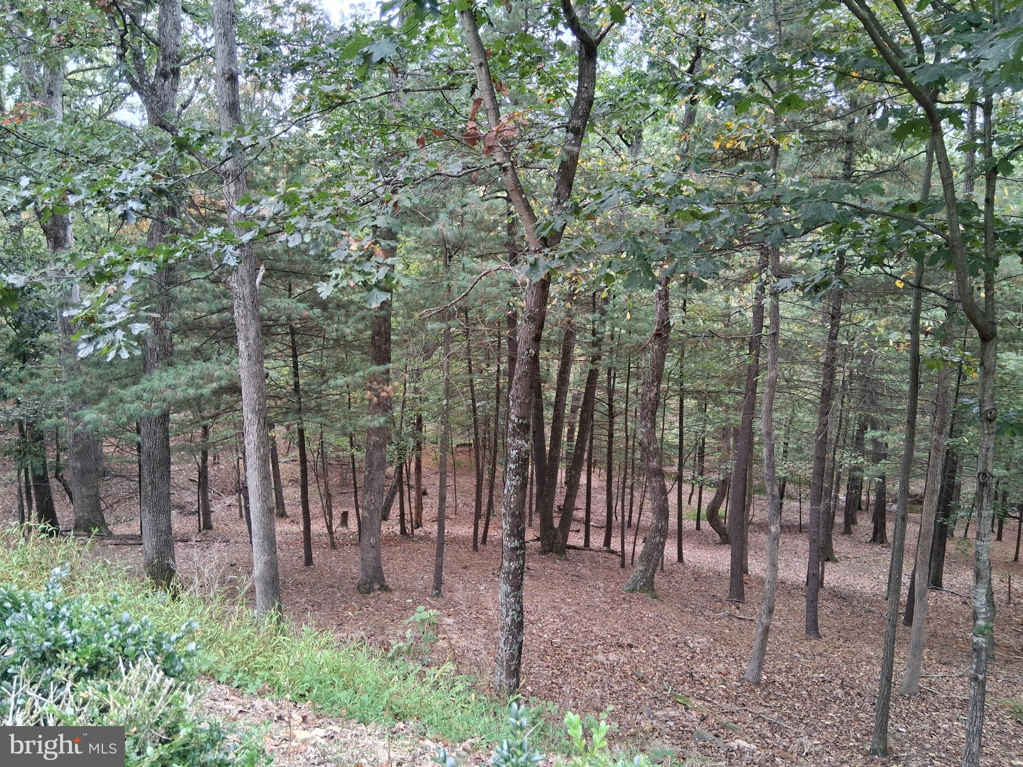 CACAPON SOUTH - Residential