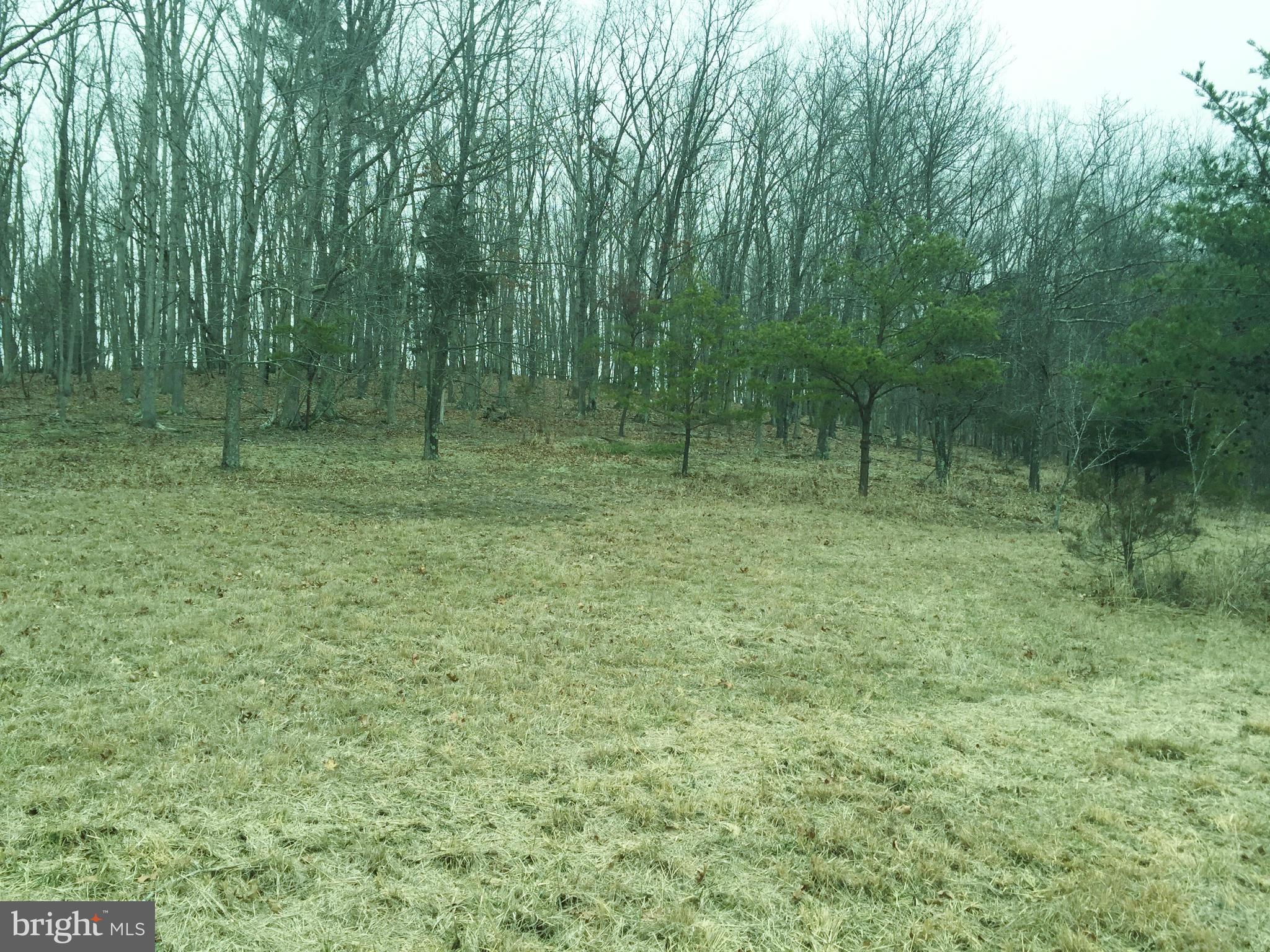 NONE AVAILABLE - Land