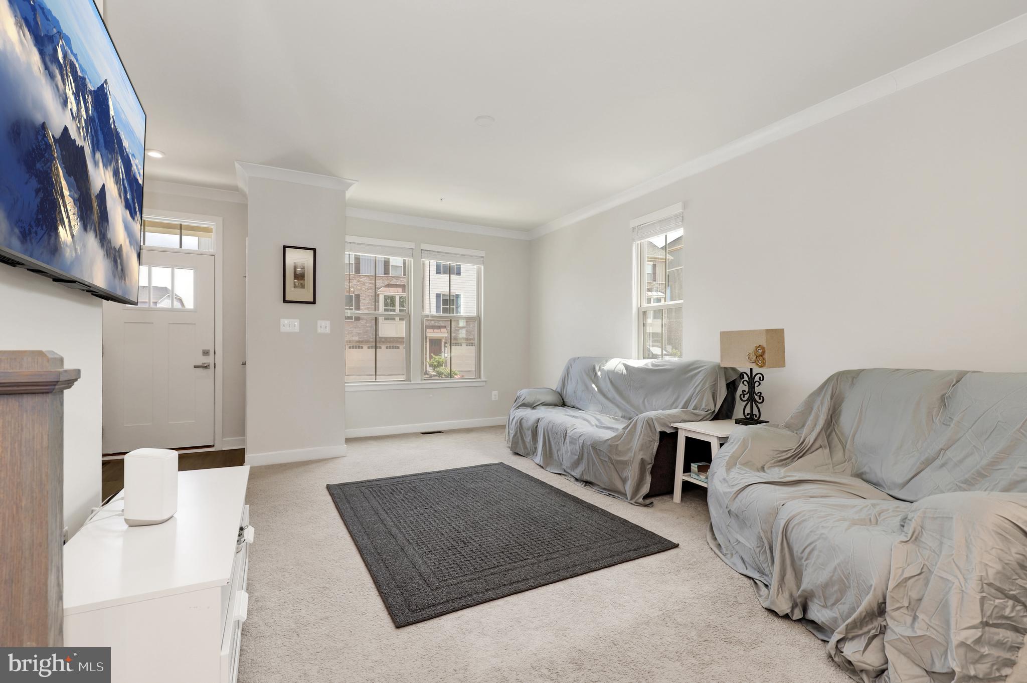 LAKE LINGANORE TOWN CENTER - Residential