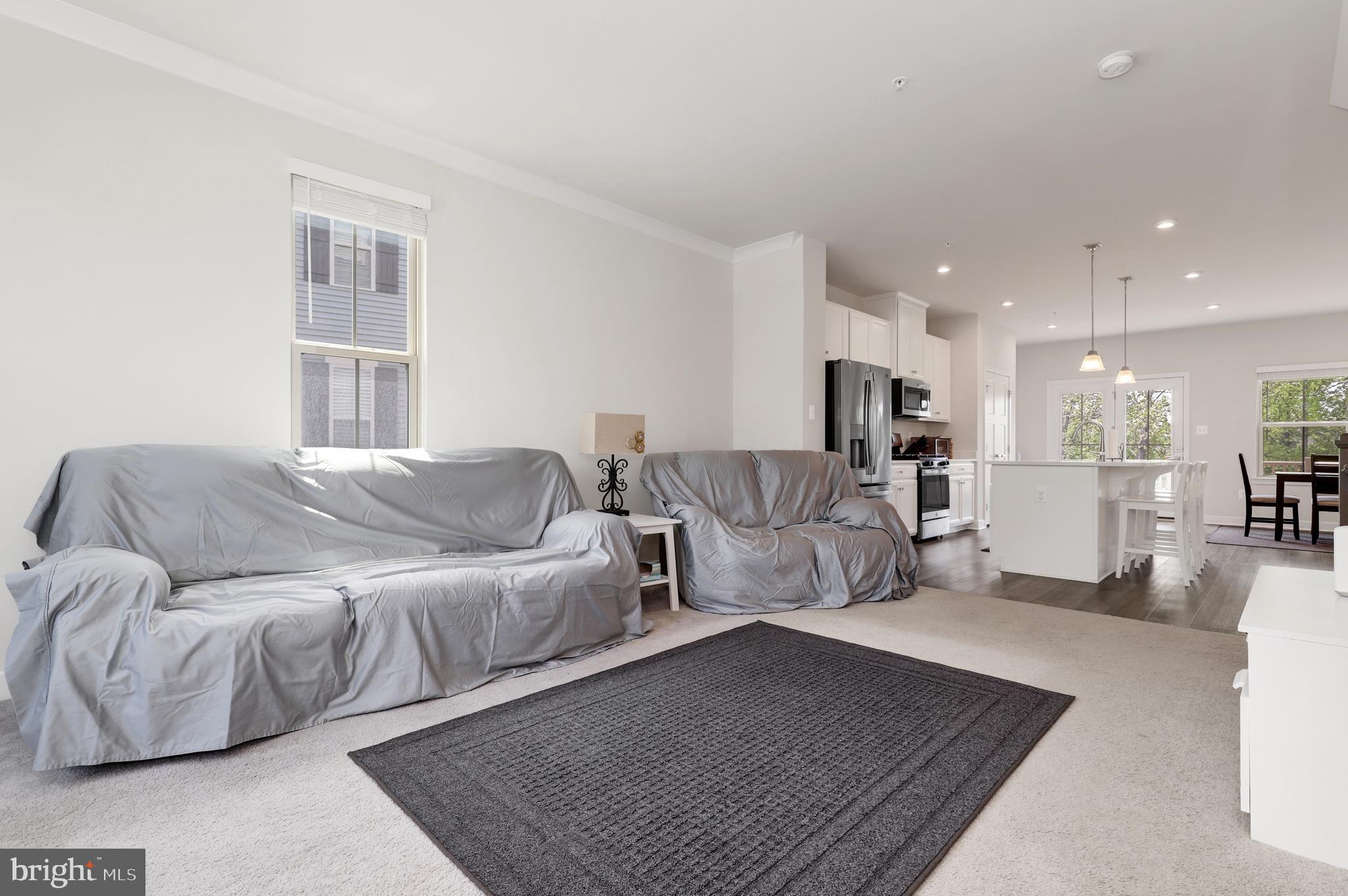 LAKE LINGANORE TOWN CENTER - Residential