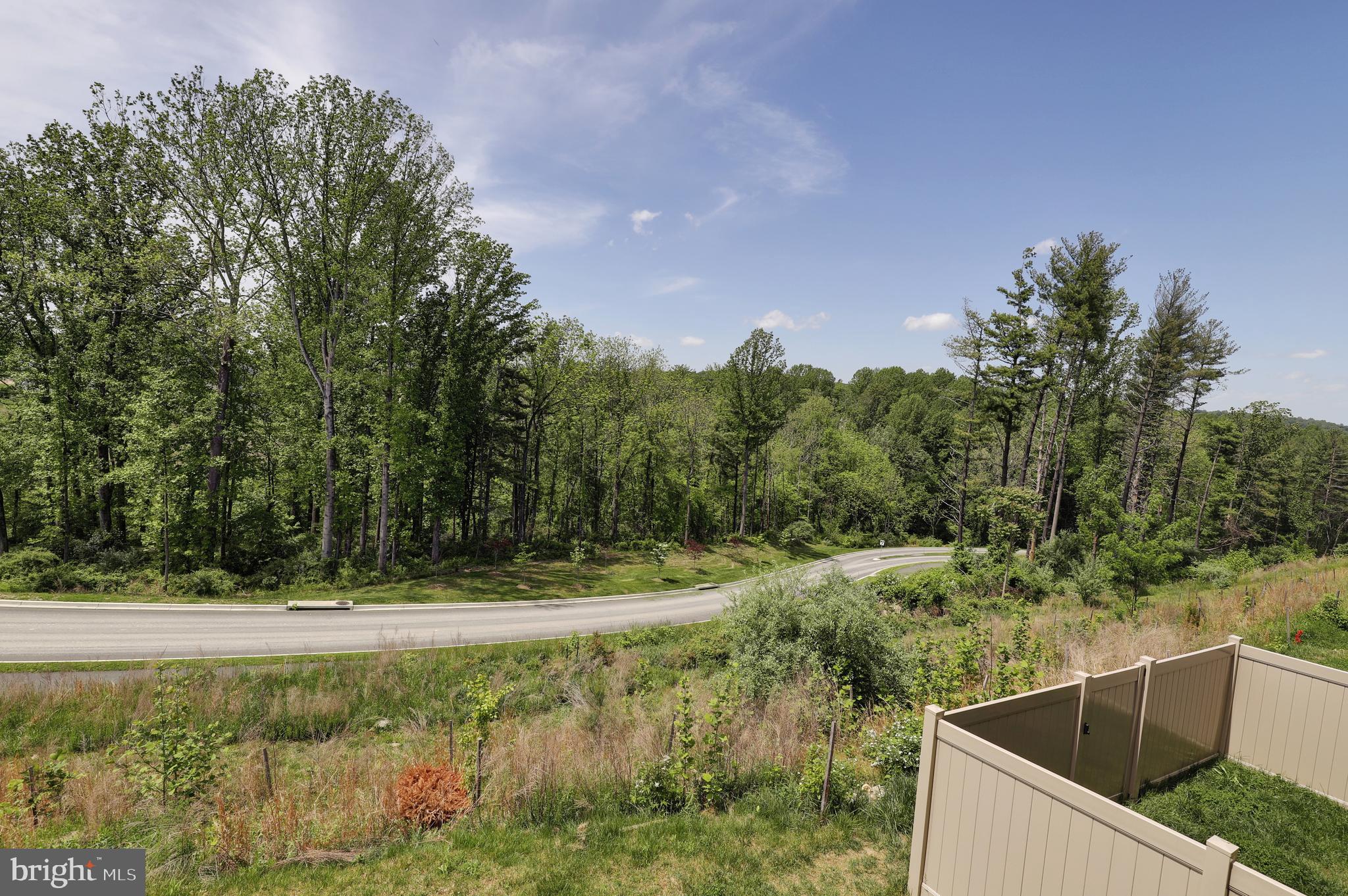 LAKE LINGANORE TOWN CENTER - Residential