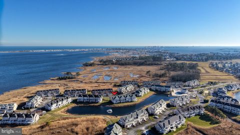 38291 OSPREY COURT 1164 SELBYVILLE DE 19975