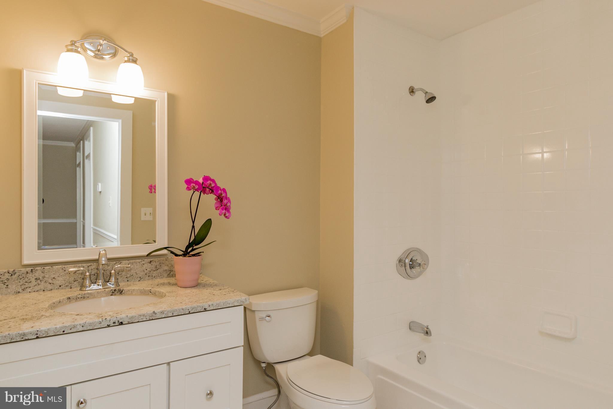 HISTORIC DISTRICT - Residential