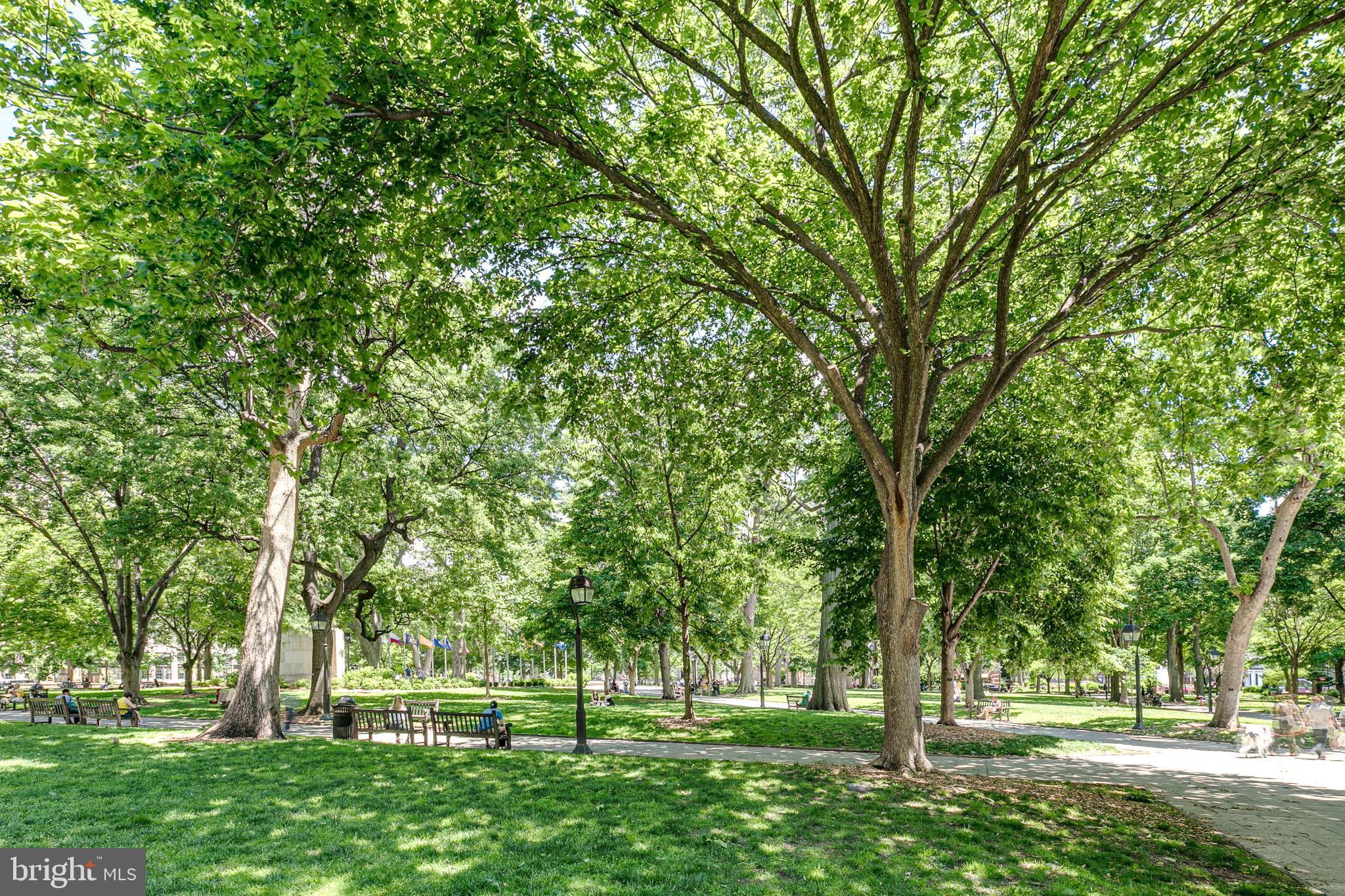 WASHINGTON SQ WEST - Residential
