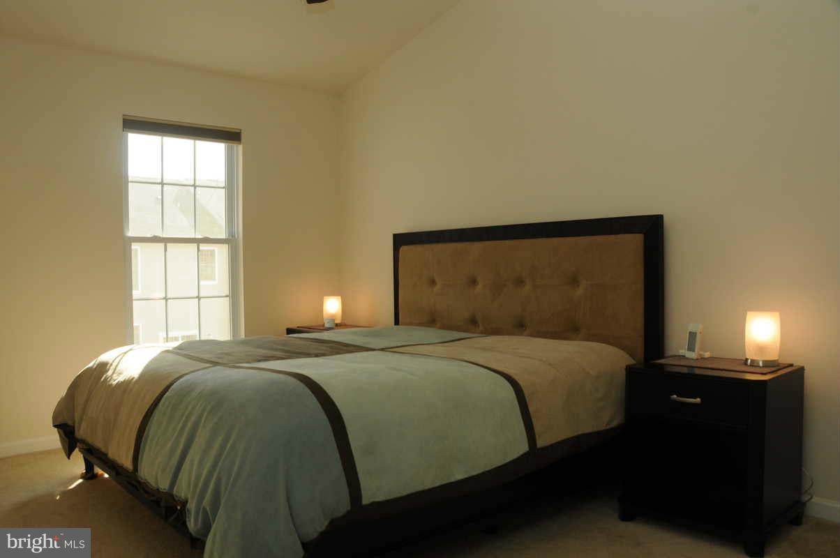 AMBERLEA AT SOUTH RIDING - Residential