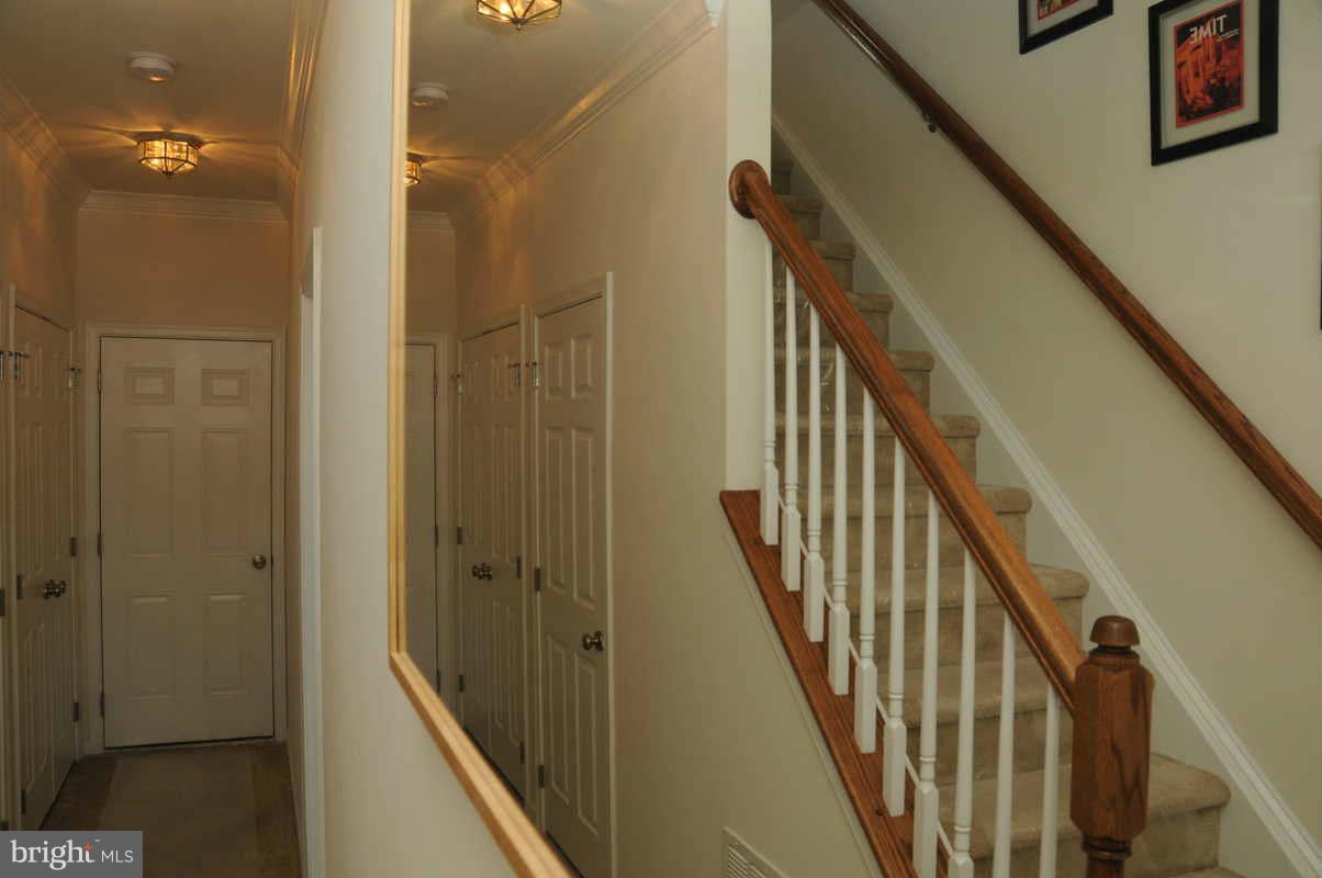 AMBERLEA AT SOUTH RIDING - Residential