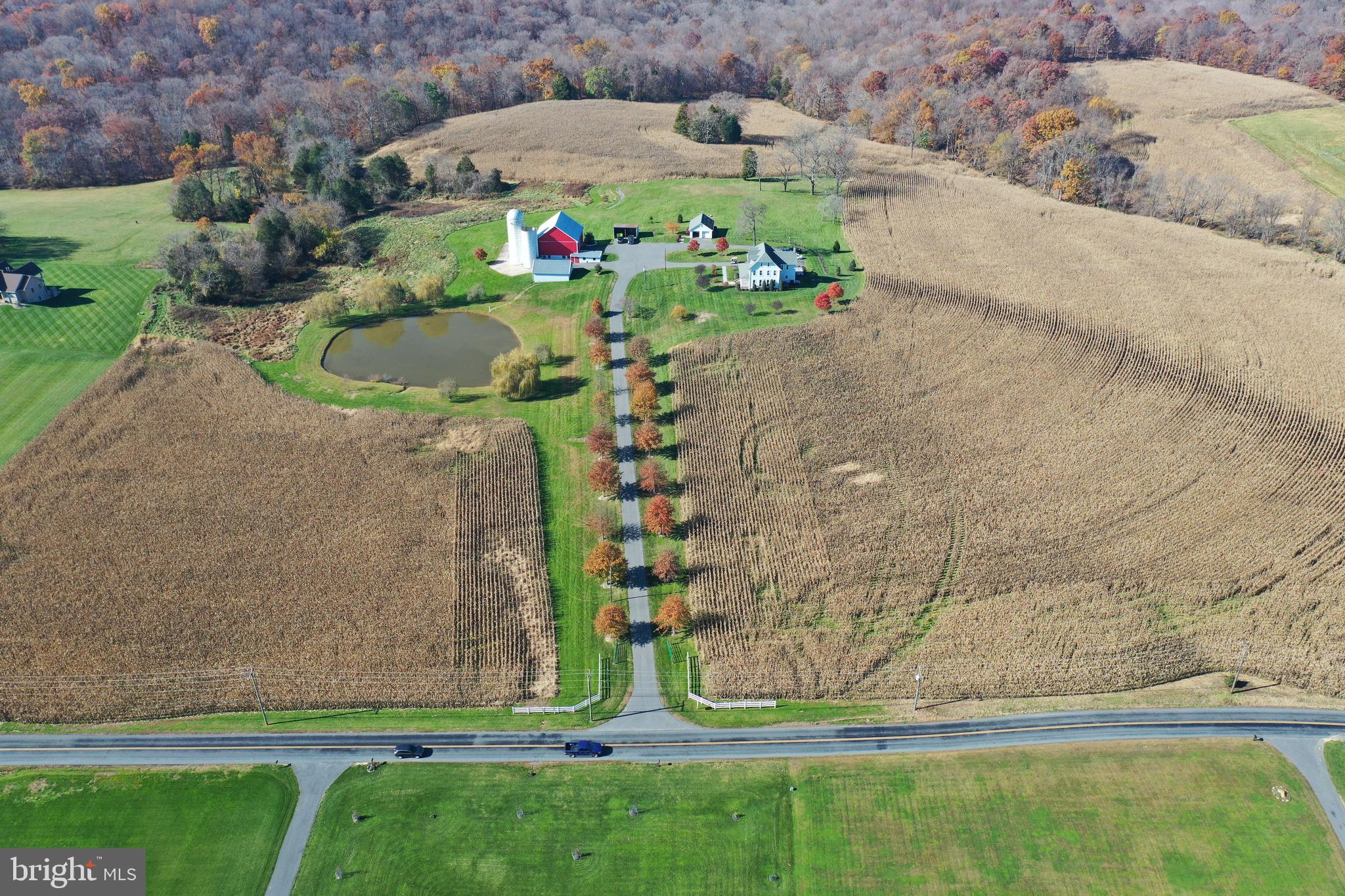 NONE AVAILABLE - Farm