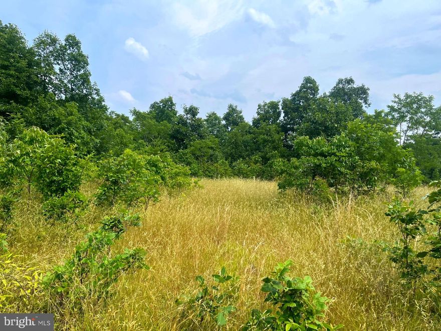 "No" Nonsense restrictions. You can do it all here including recreational, camping, and hunting; or just relax and enjoy all that WV has to offer.   Amazing mountain views from the optimal building location offer that truly authentic Appalachian feel.   Partially wooded with a level to sloping topography, offering many options for a private building site. Close to the town of Romney, WV, and an easy drive from the Baltimore/Washington area. At this price, with these views, the decision is easy. Come to WV and sit on top of the world!