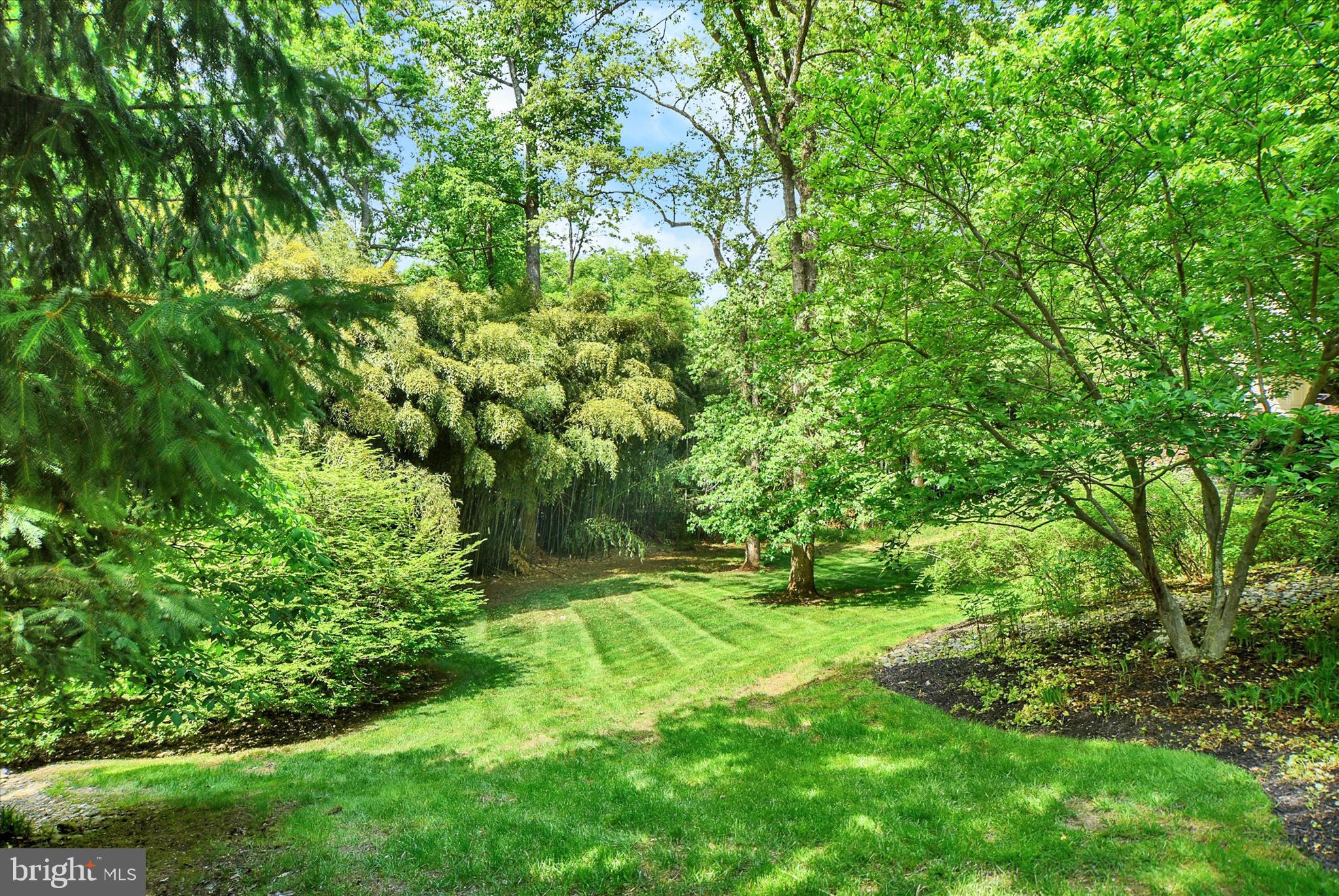 CAVESWOOD - Residential