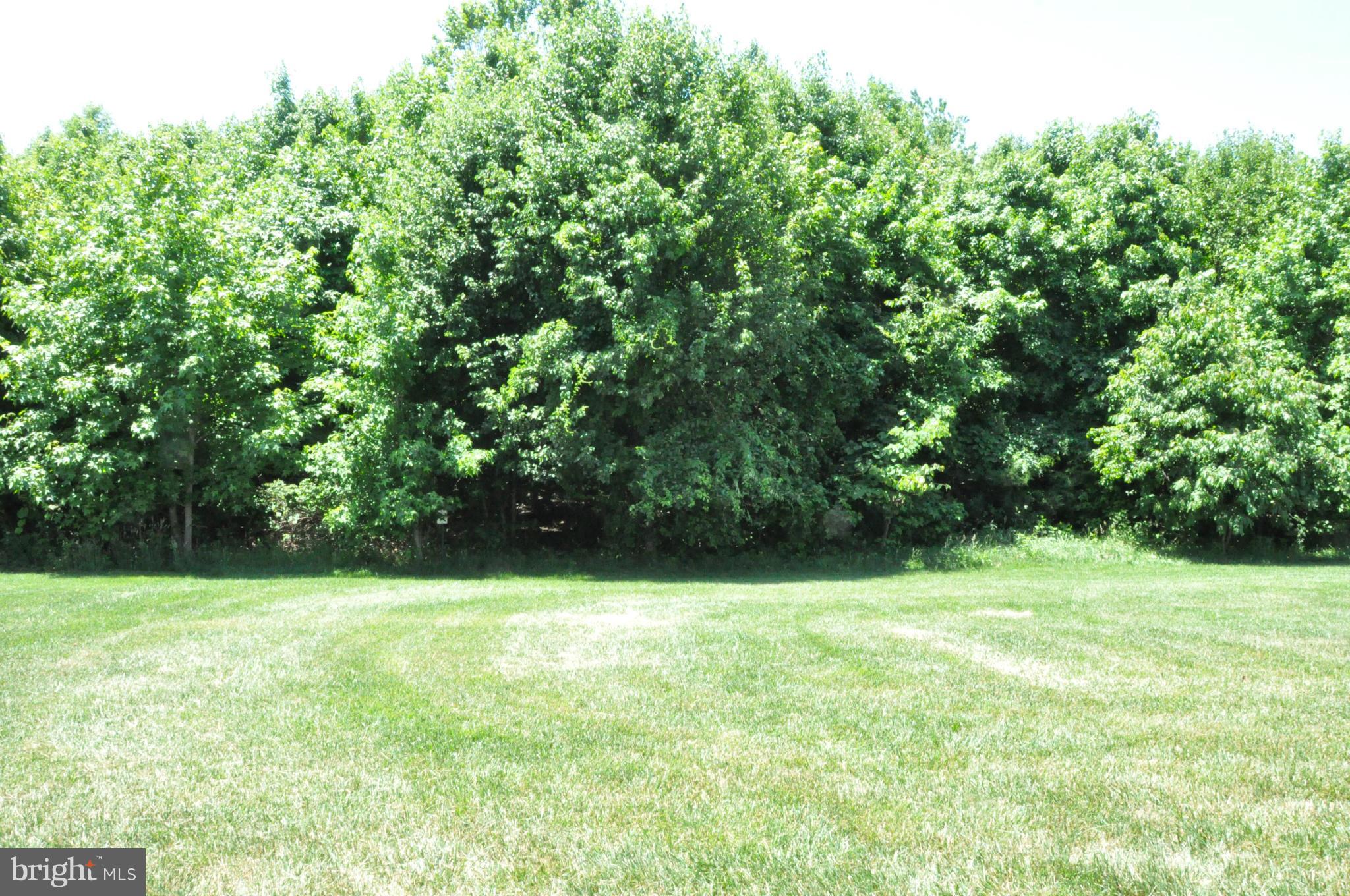 FORGE RESERVE - Residential