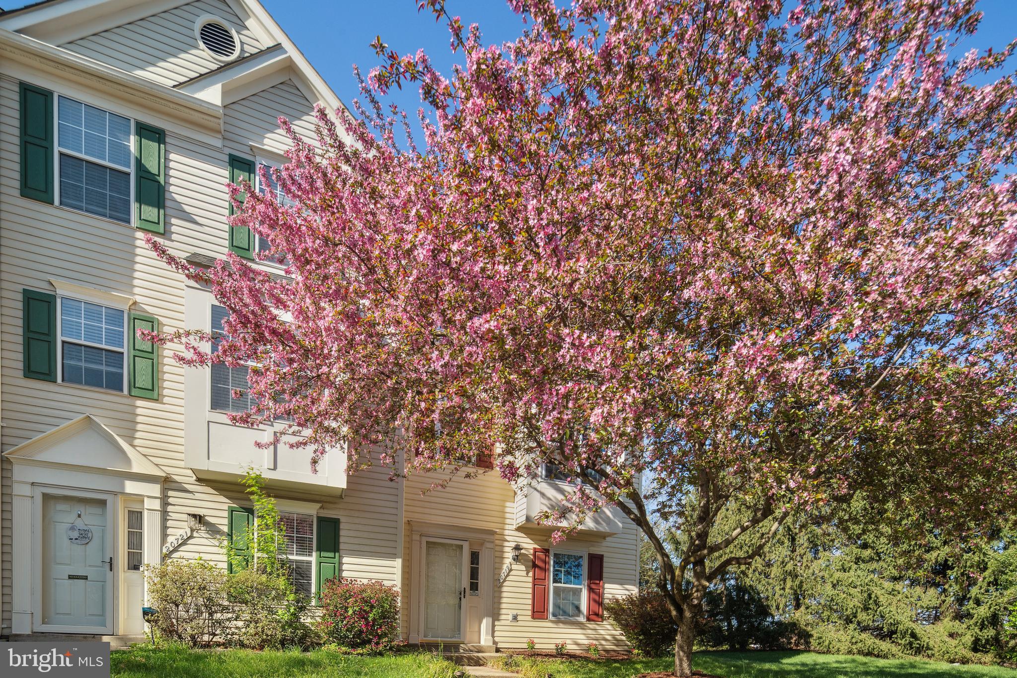 ASHBURN VILLAGE - Residential