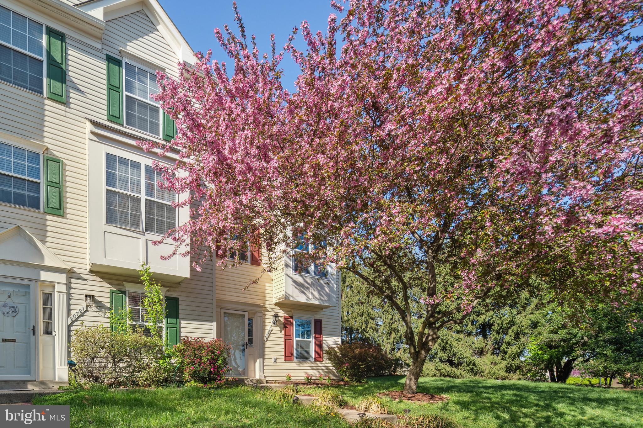 ASHBURN VILLAGE - Residential