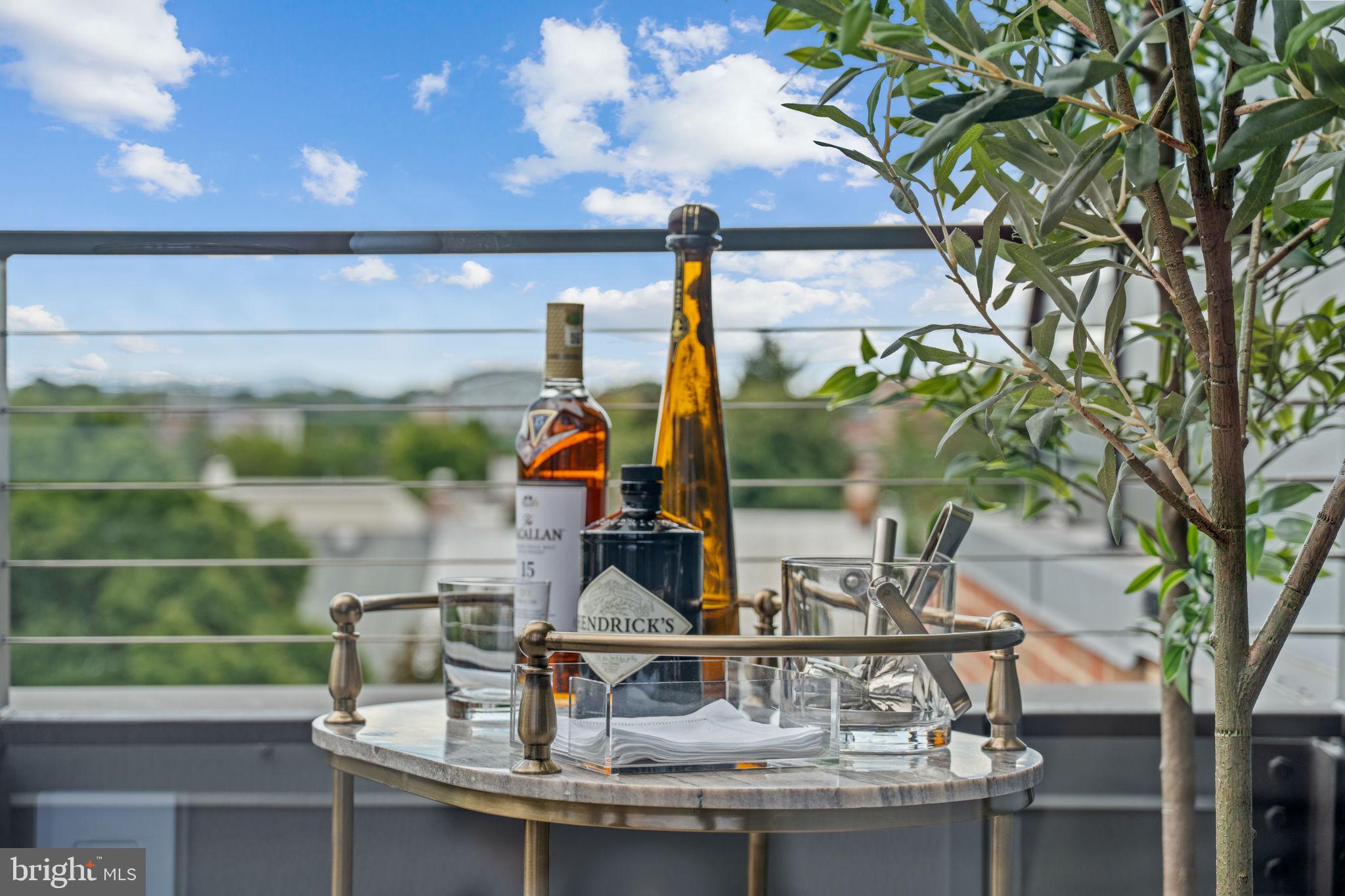 DOWNTOWN FREDERICK - Residential