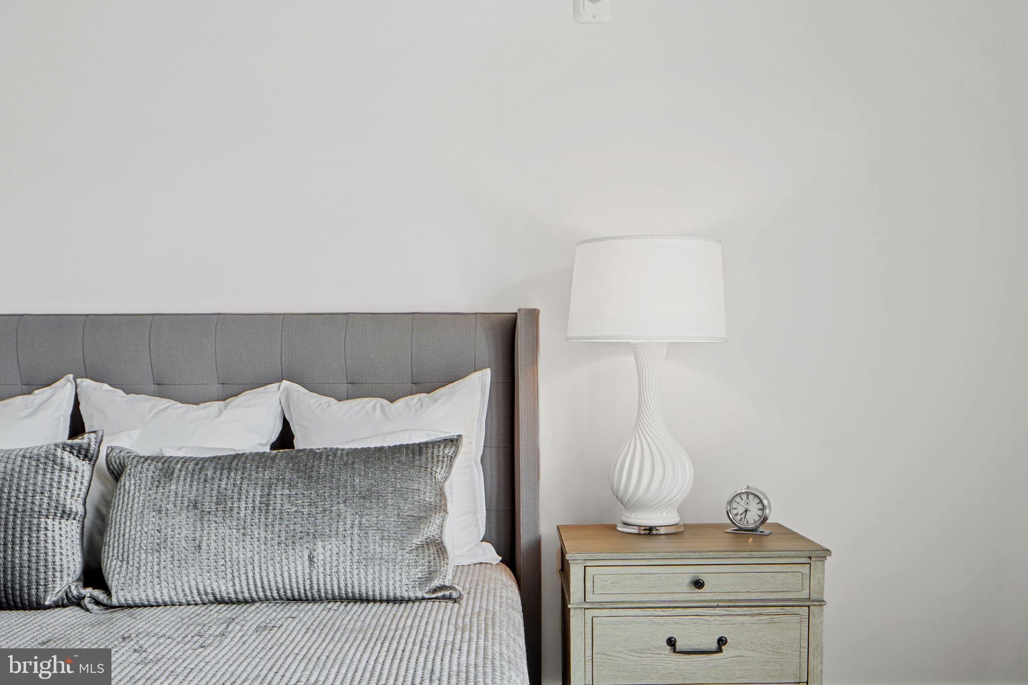 DOWNTOWN FREDERICK - Residential