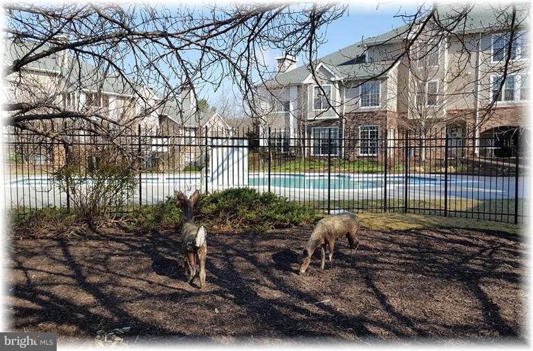 ENGLISH COUNTRY MANOR - Residential