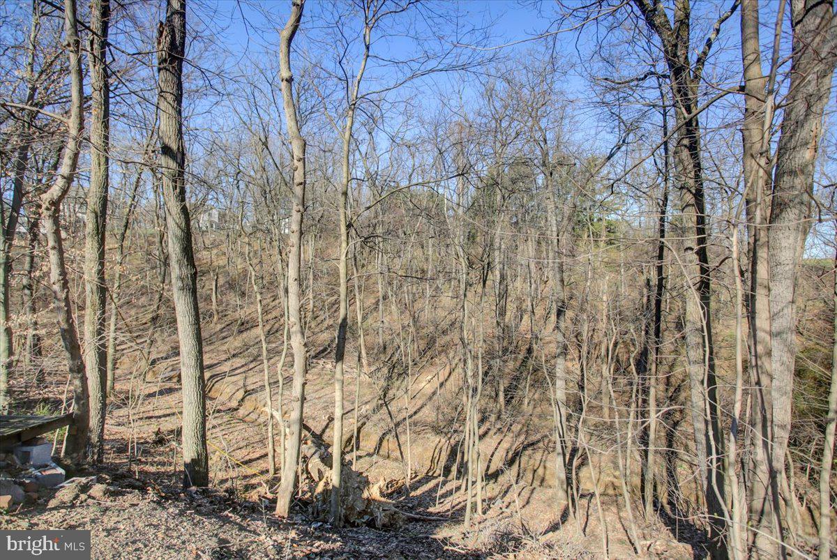 WINDING HILL HEIGHTS - Residential