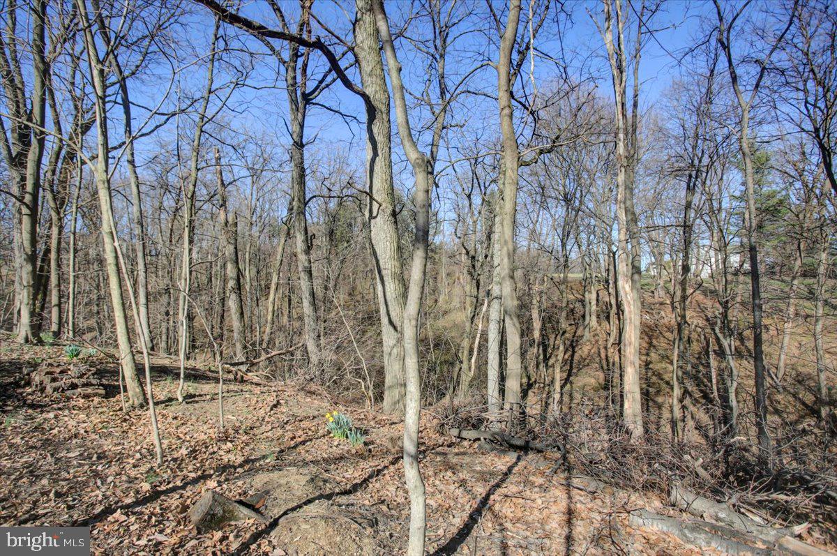 WINDING HILL HEIGHTS - Residential