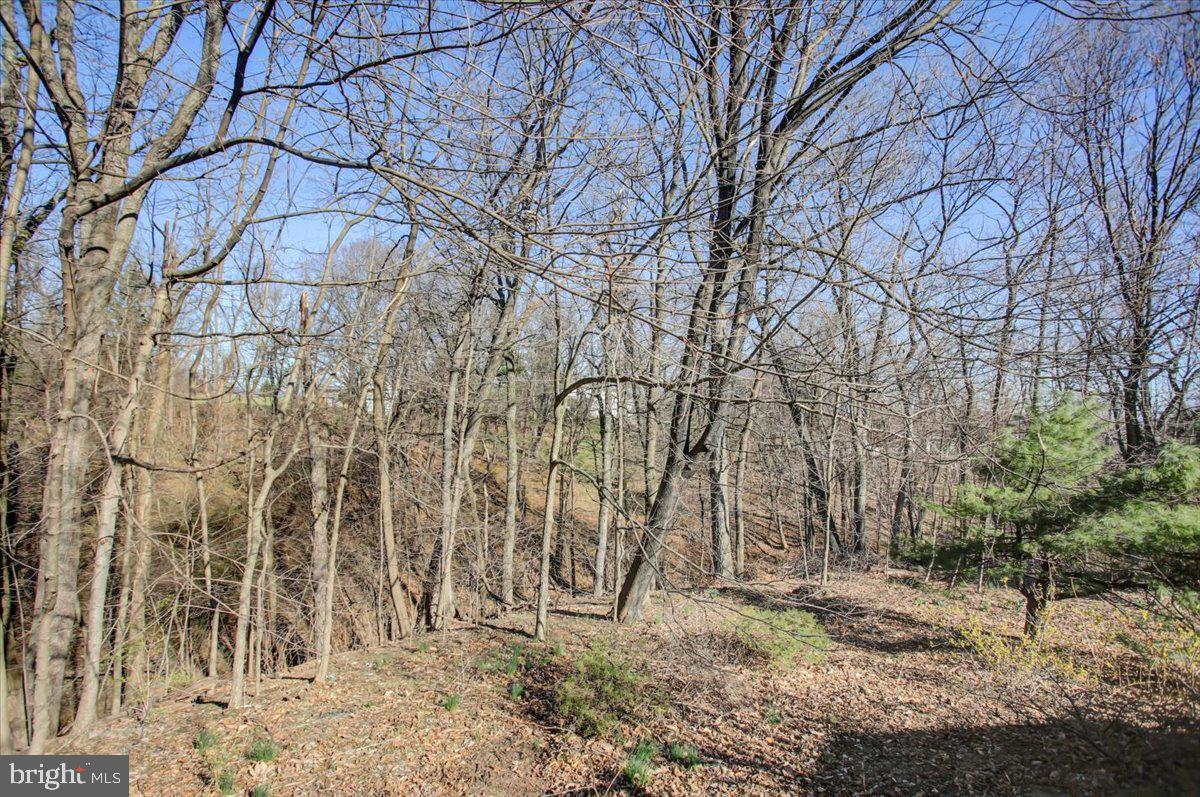 WINDING HILL HEIGHTS - Residential