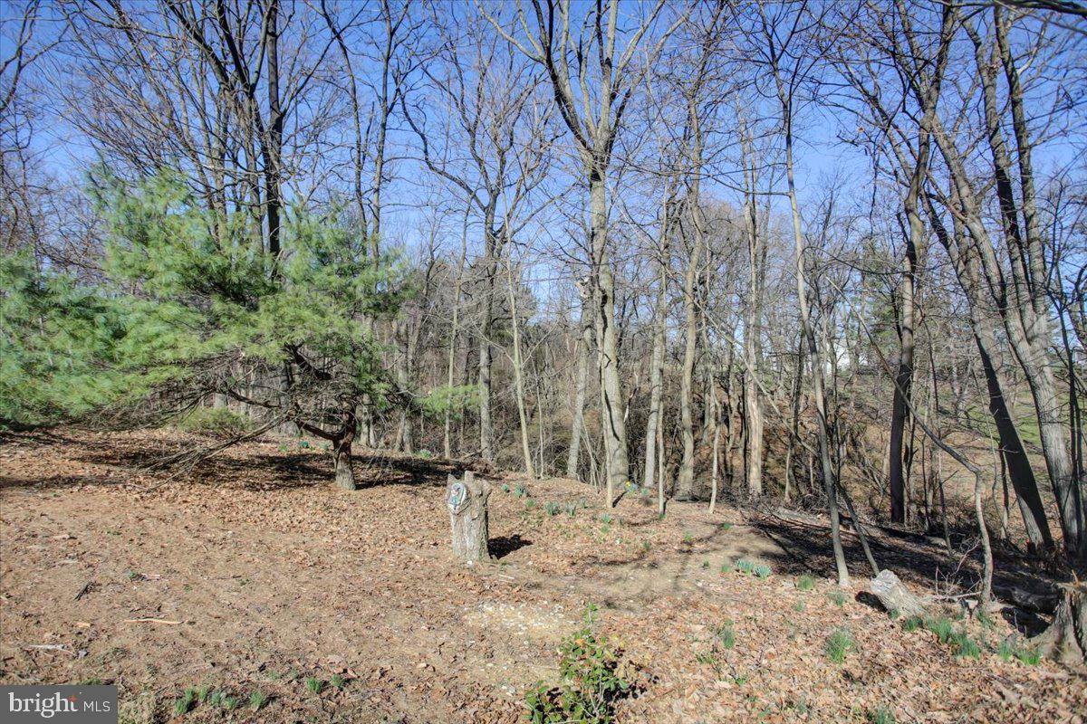 WINDING HILL HEIGHTS - Residential