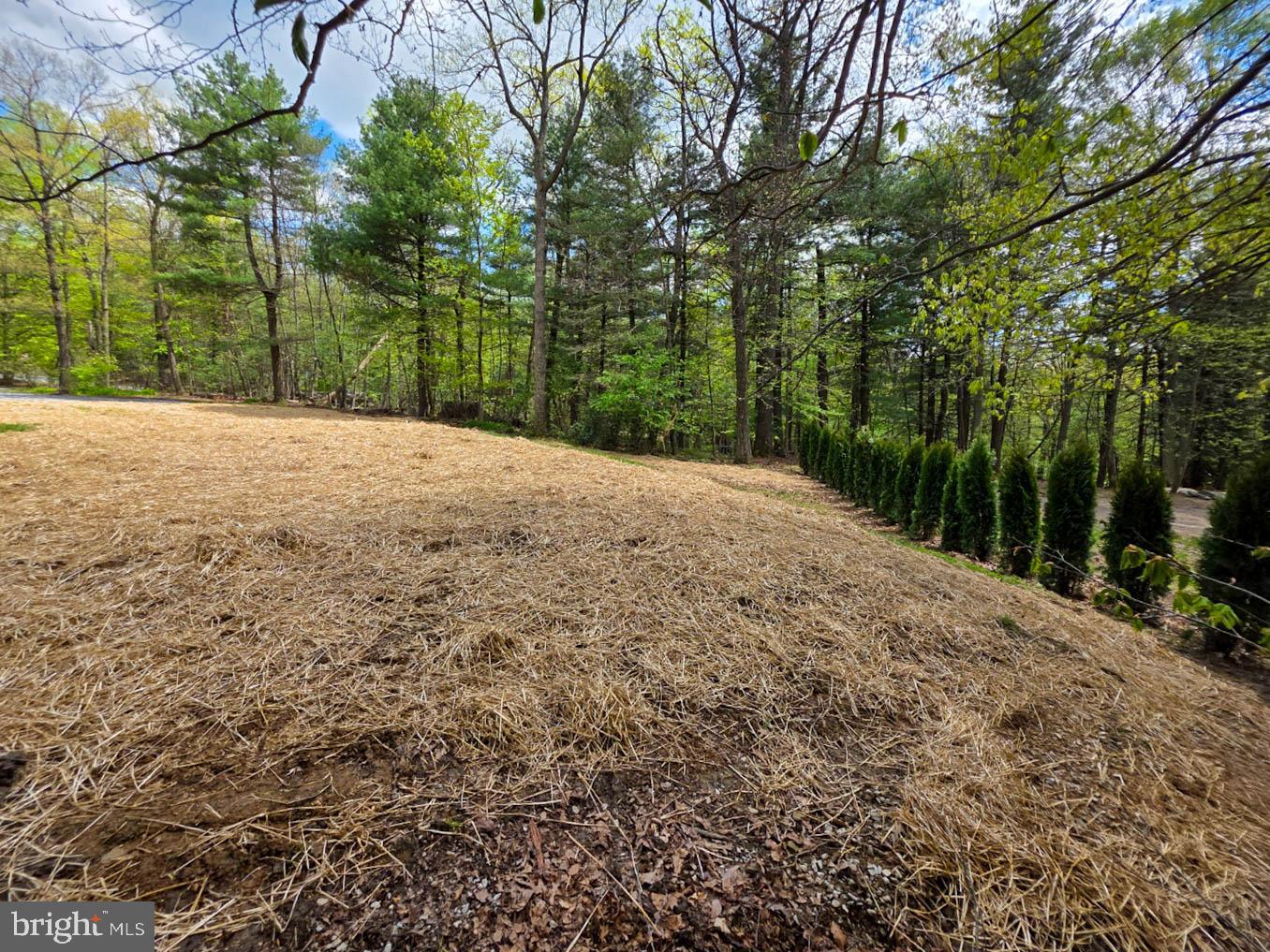 HIDDEN PINES - Residential