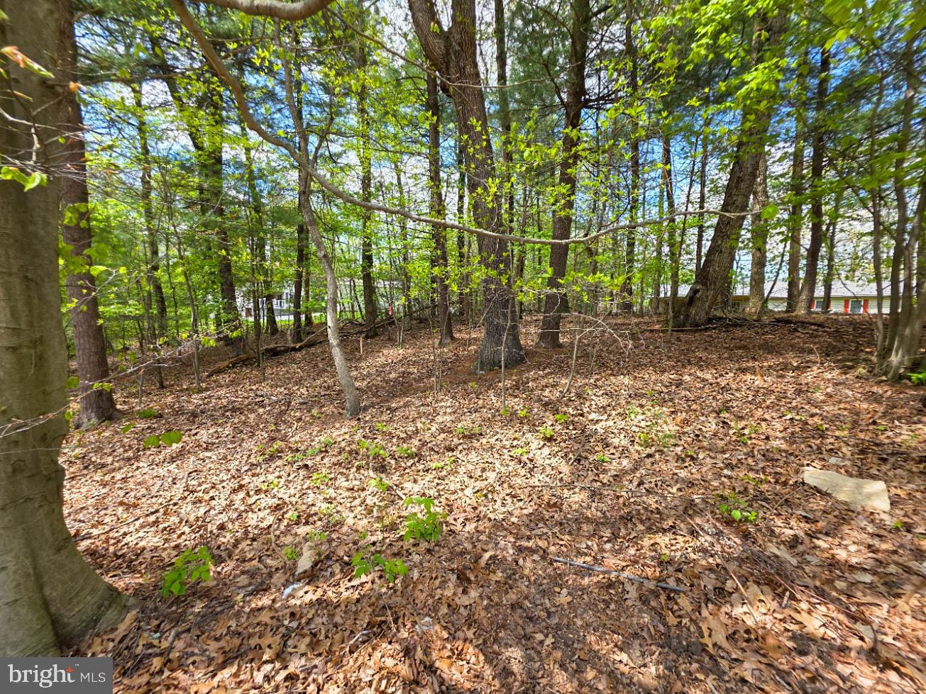 HIDDEN PINES - Residential