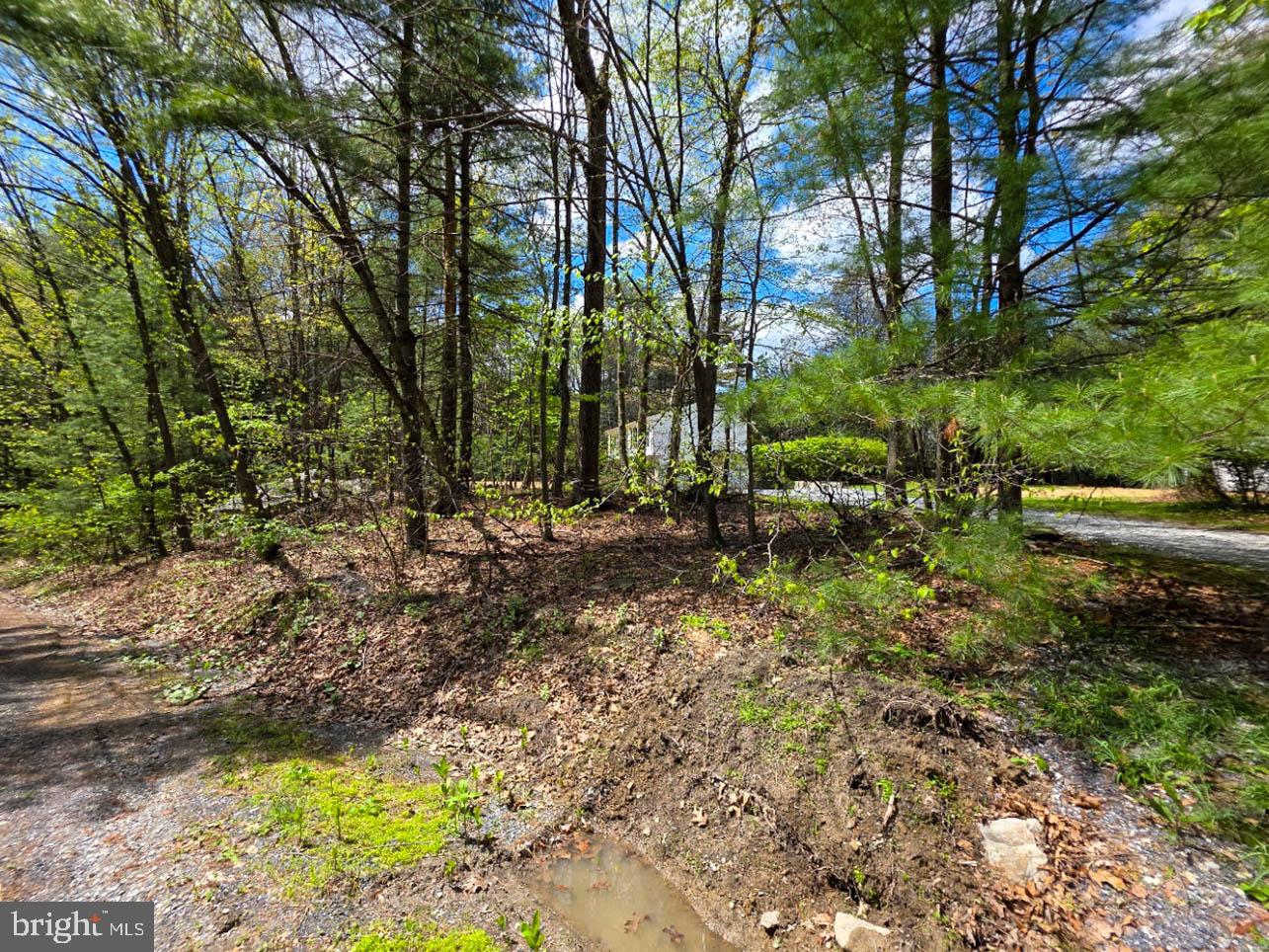 HIDDEN PINES - Residential